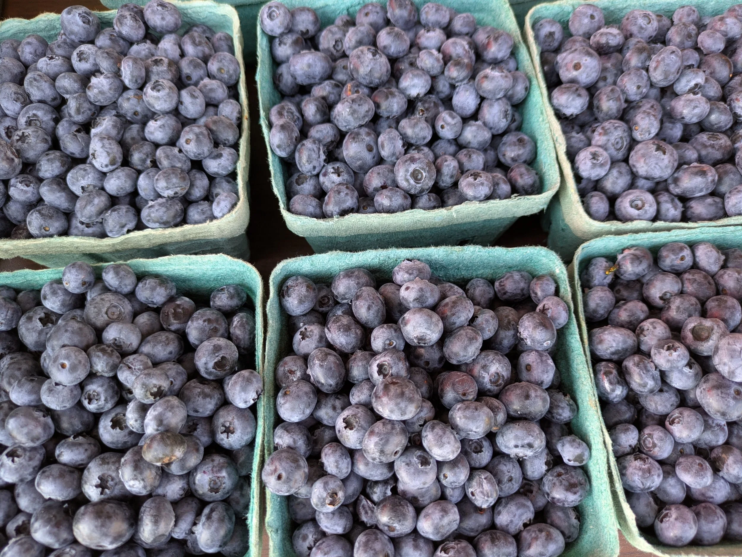 pints of blueberries