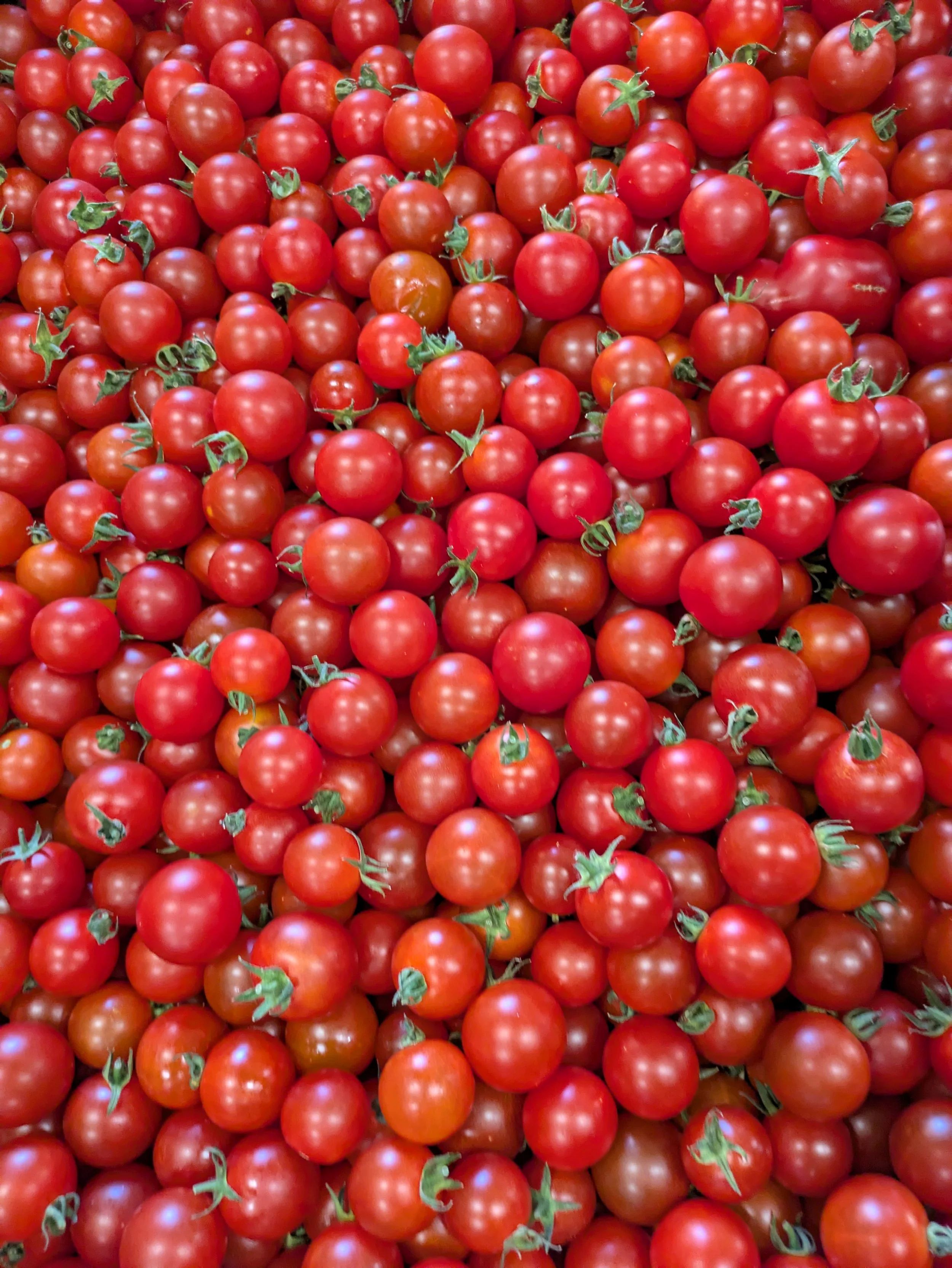 many cherry tomatoes