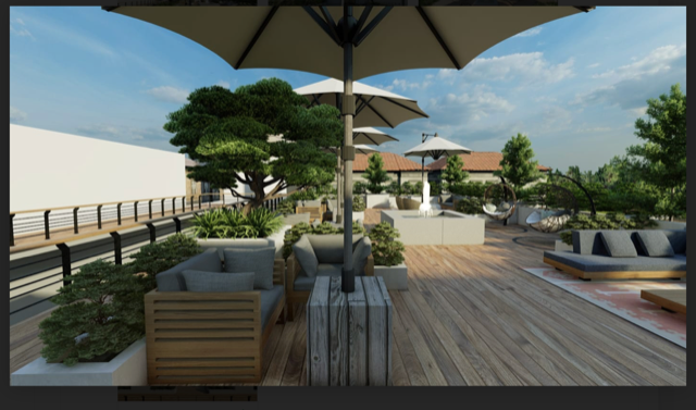 Screen Shot 2022-02-27 at 9.16.20 AM.png