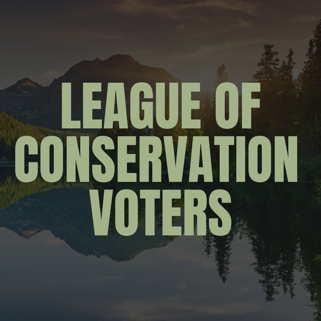 How I Built a Multi-Channel Digital Acquisition Engine for the League of Conservation Voters
