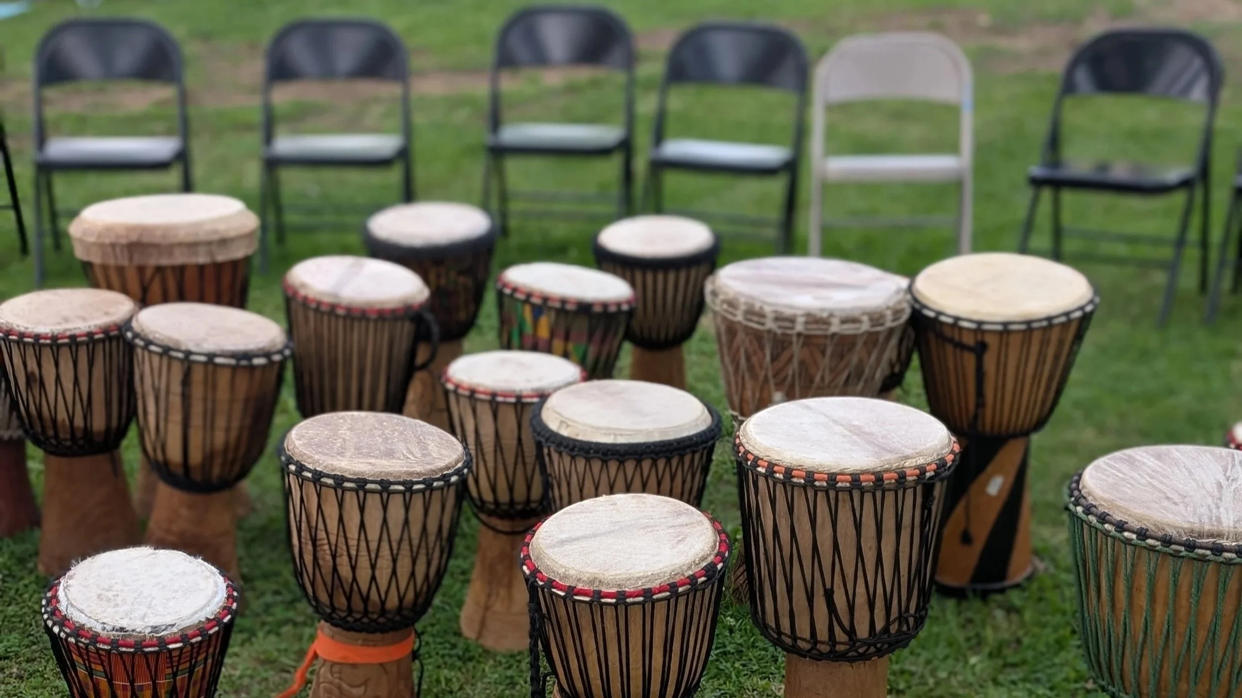 Group of djembe drums