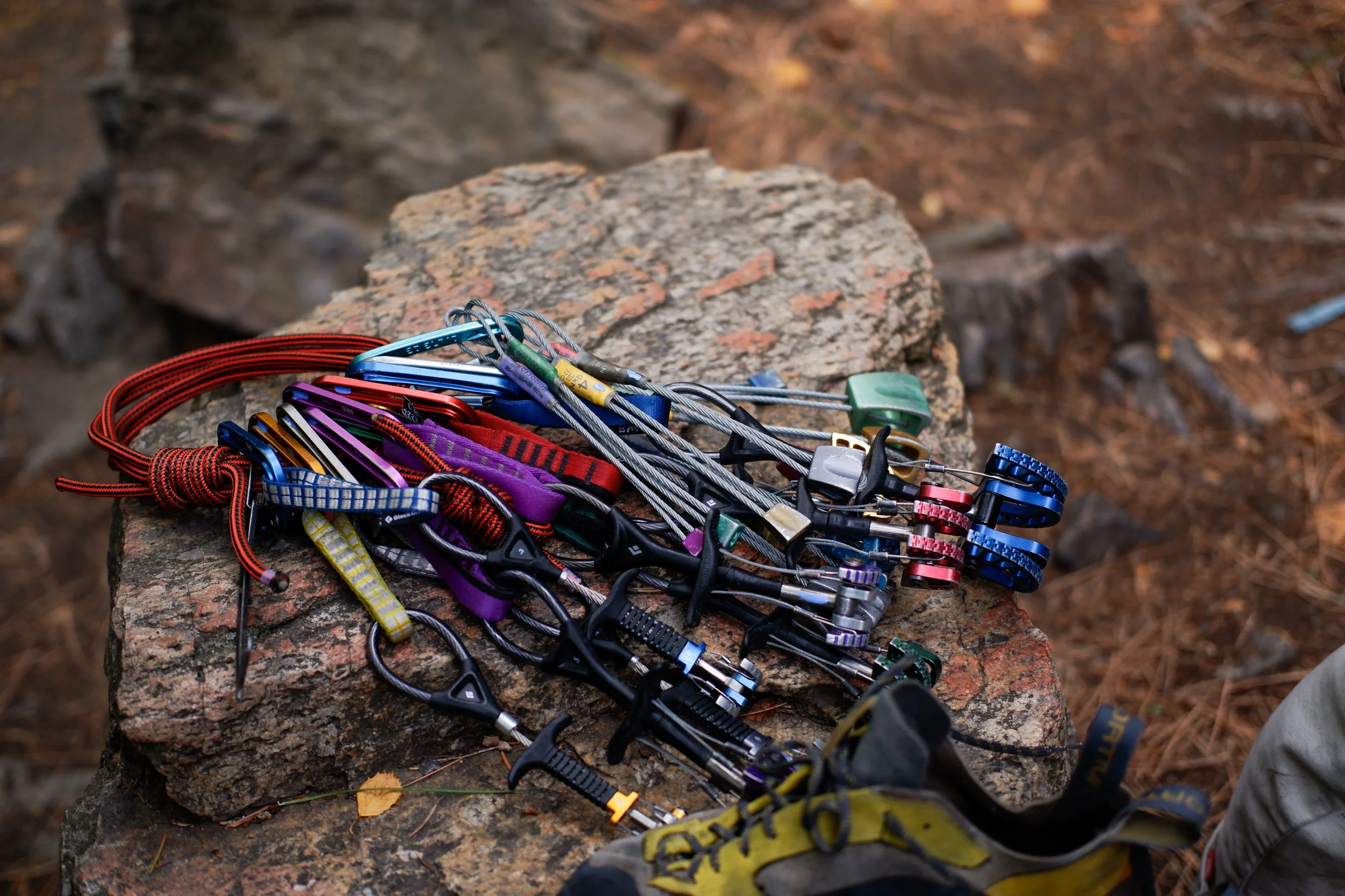 Copy of DSCF7041.jpeg