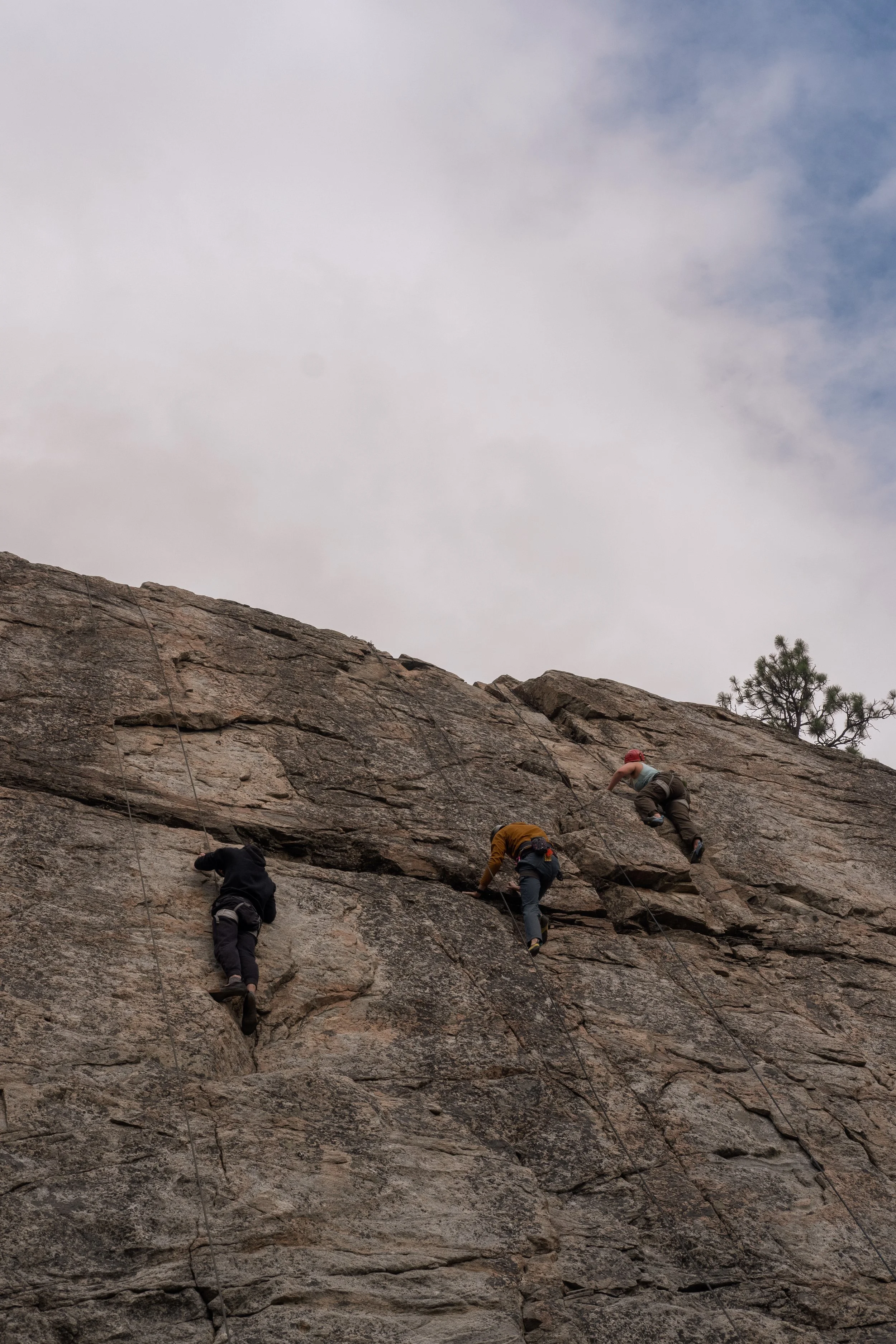 DSCF6844.jpg