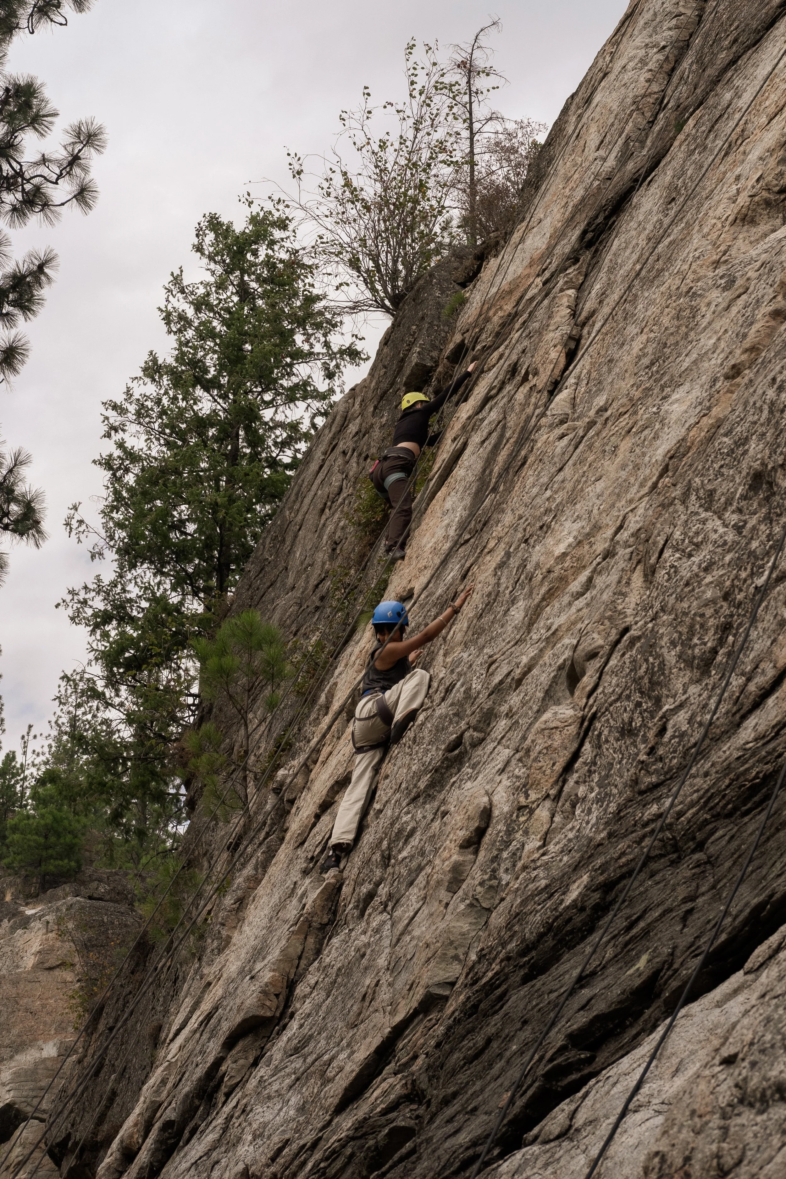 DSCF6869.jpg