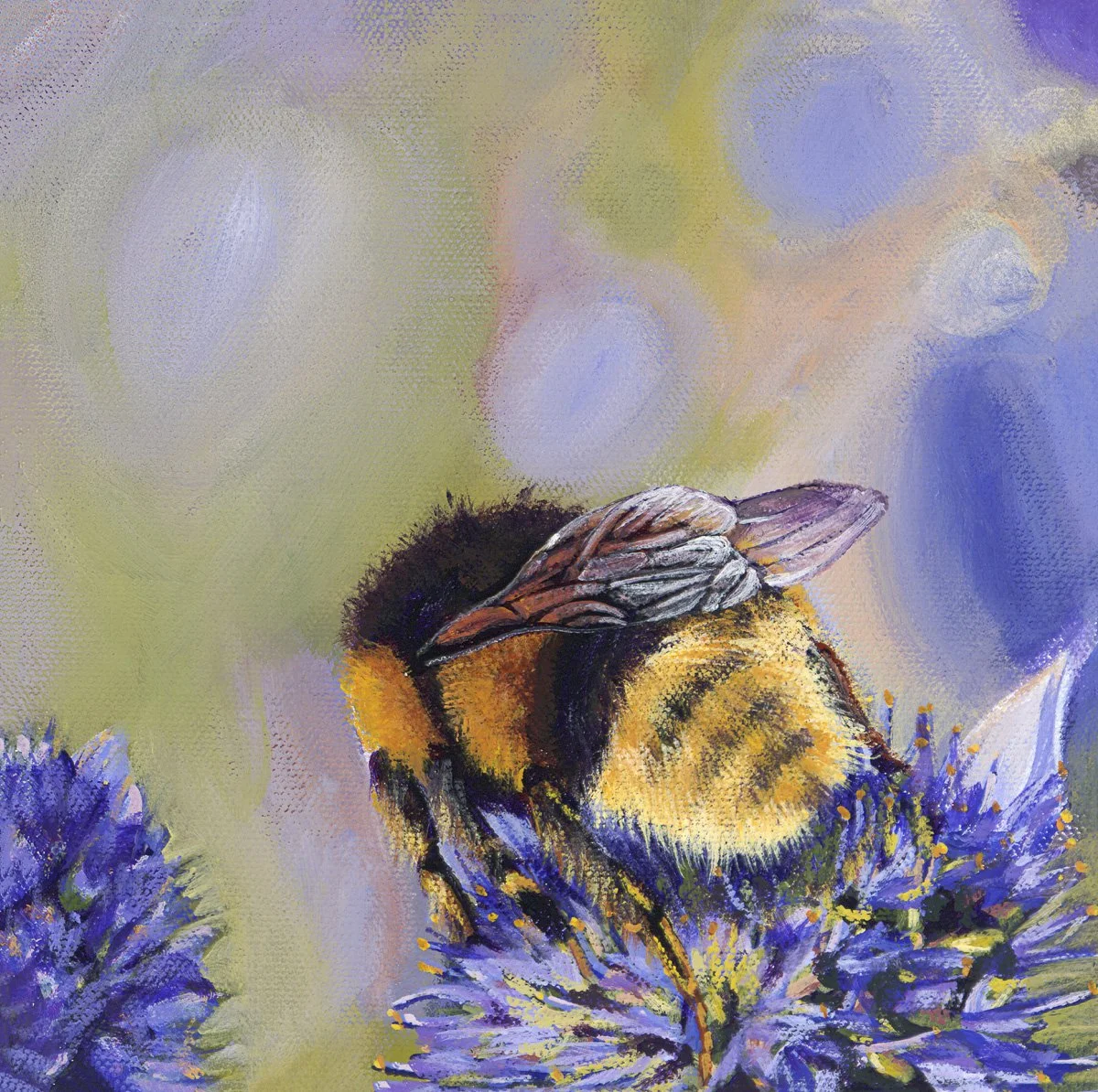 Sea Holly 8x8 inch SOLD