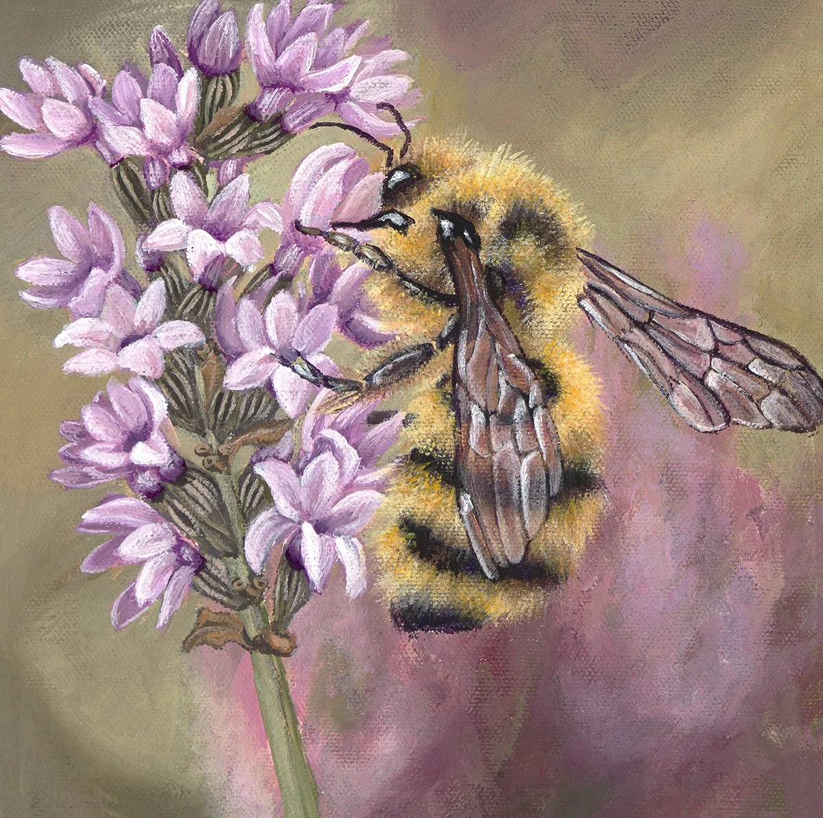 English Lavender-Jean Davis 8x8 inch