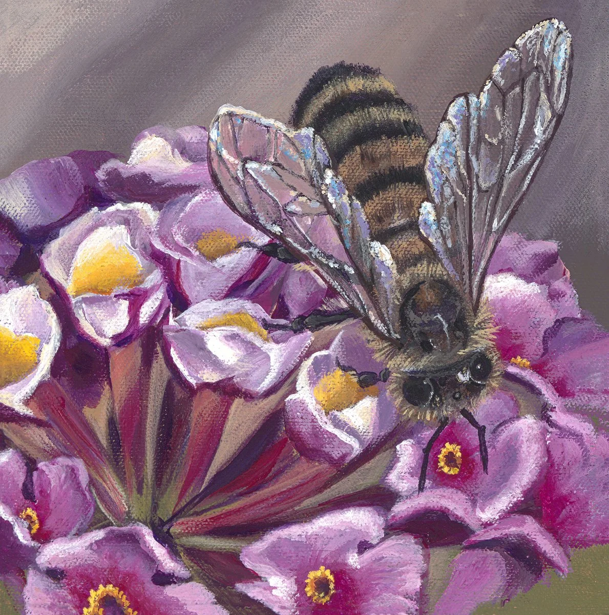 Lantana 8x8 inch
