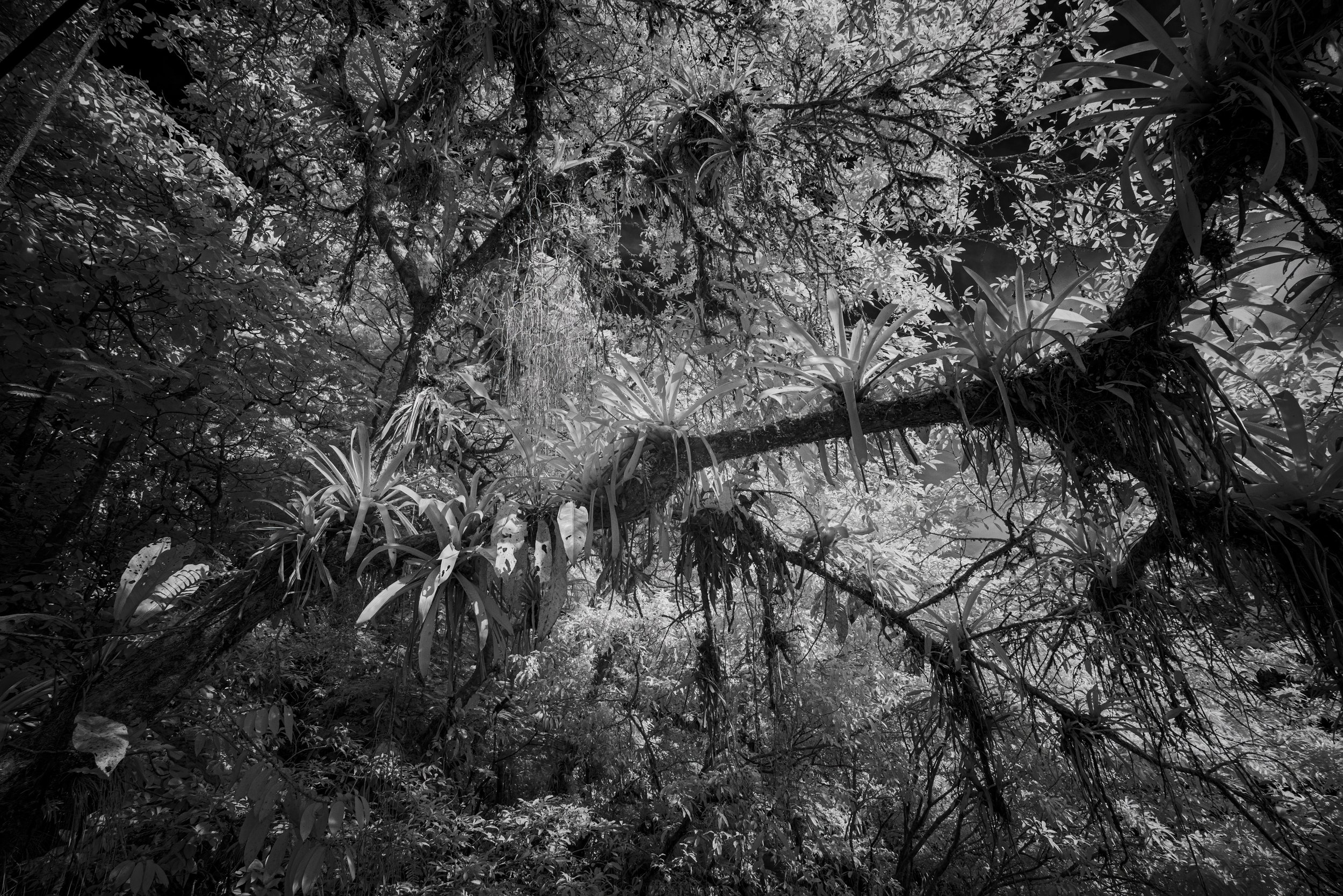 32_DSC06316-Edit copy.jpg