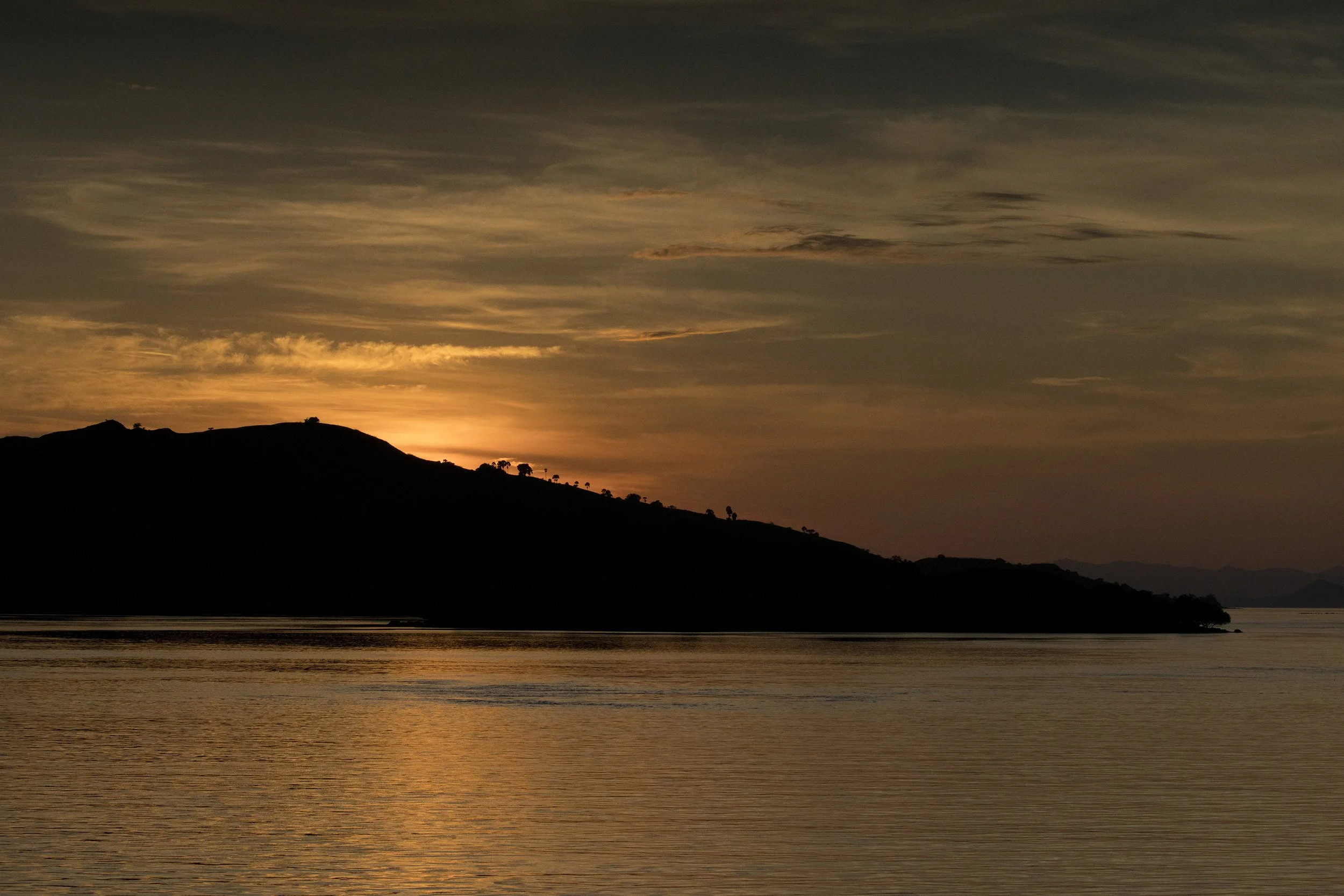 Komodo_DSC03086.jpg