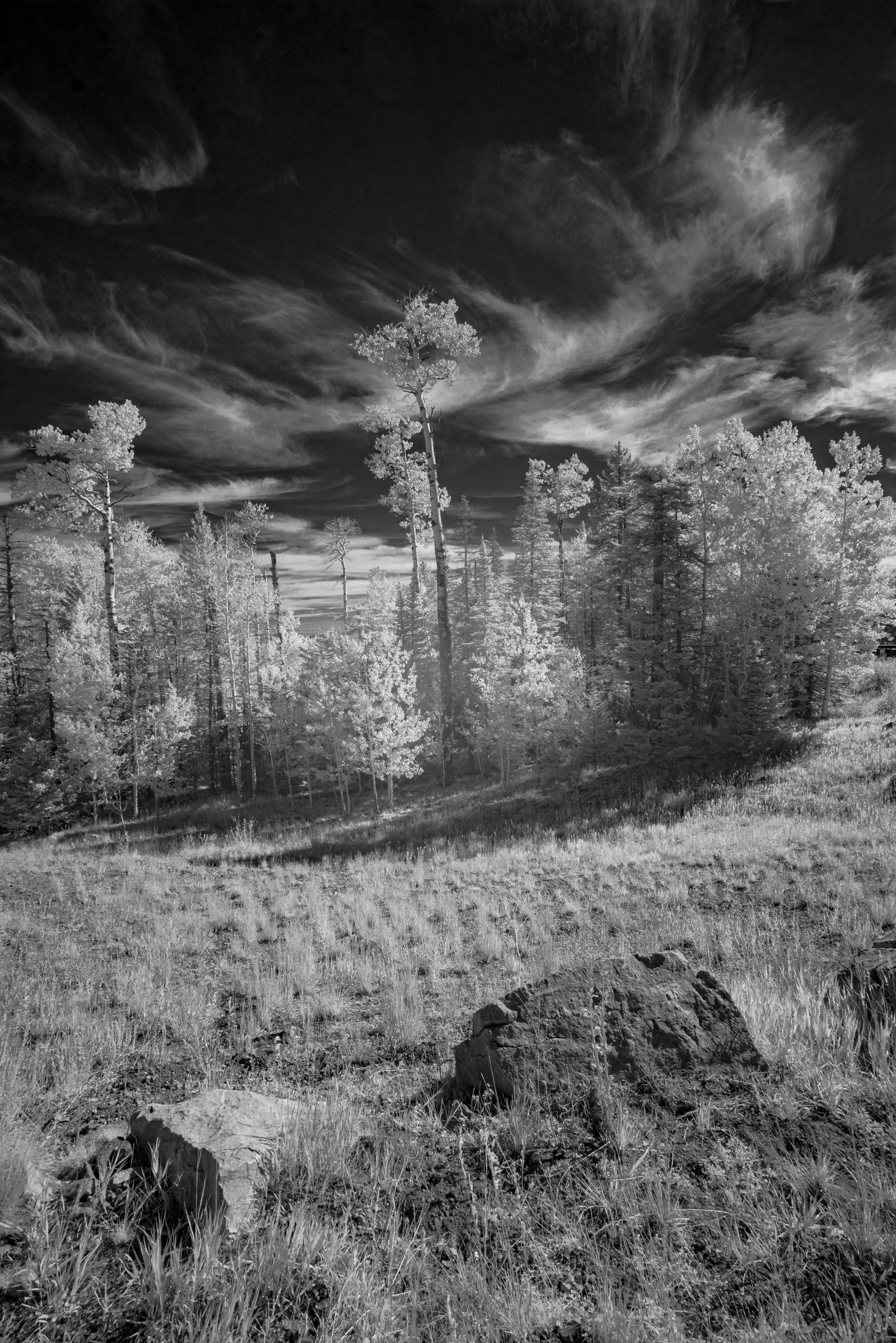 Sandia Mts, New Mexico