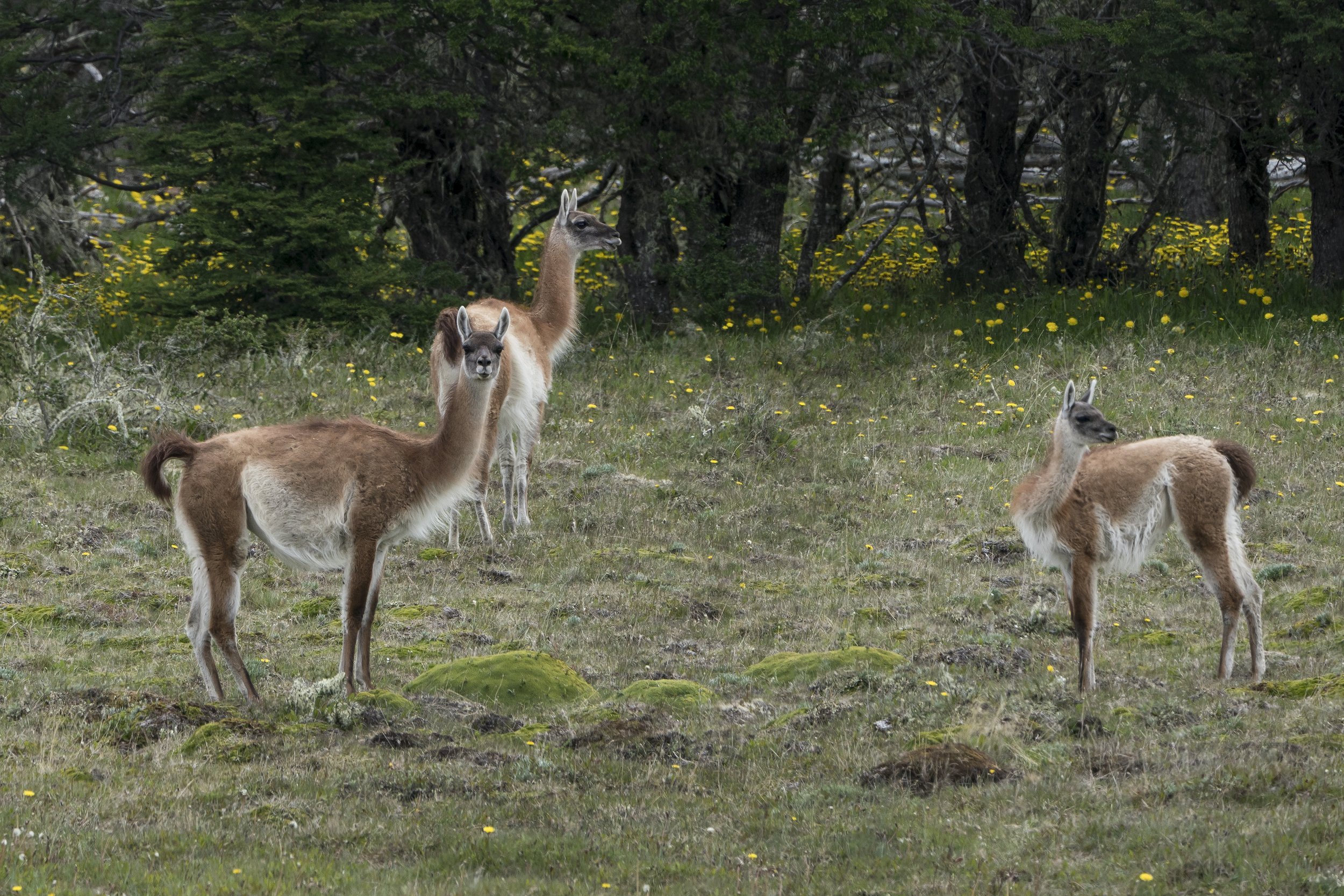 U1_D3_D9_07002.jpg
