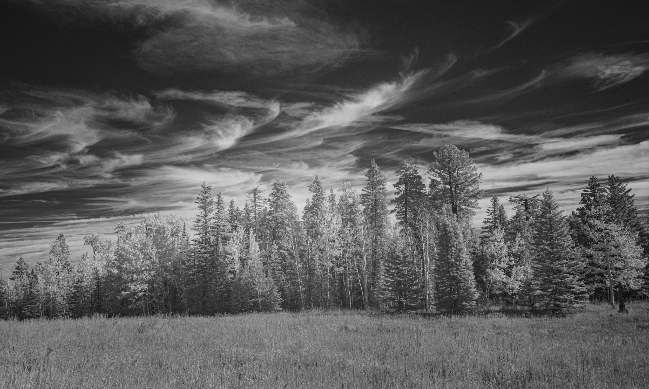 Sandia Mts, New Mexico