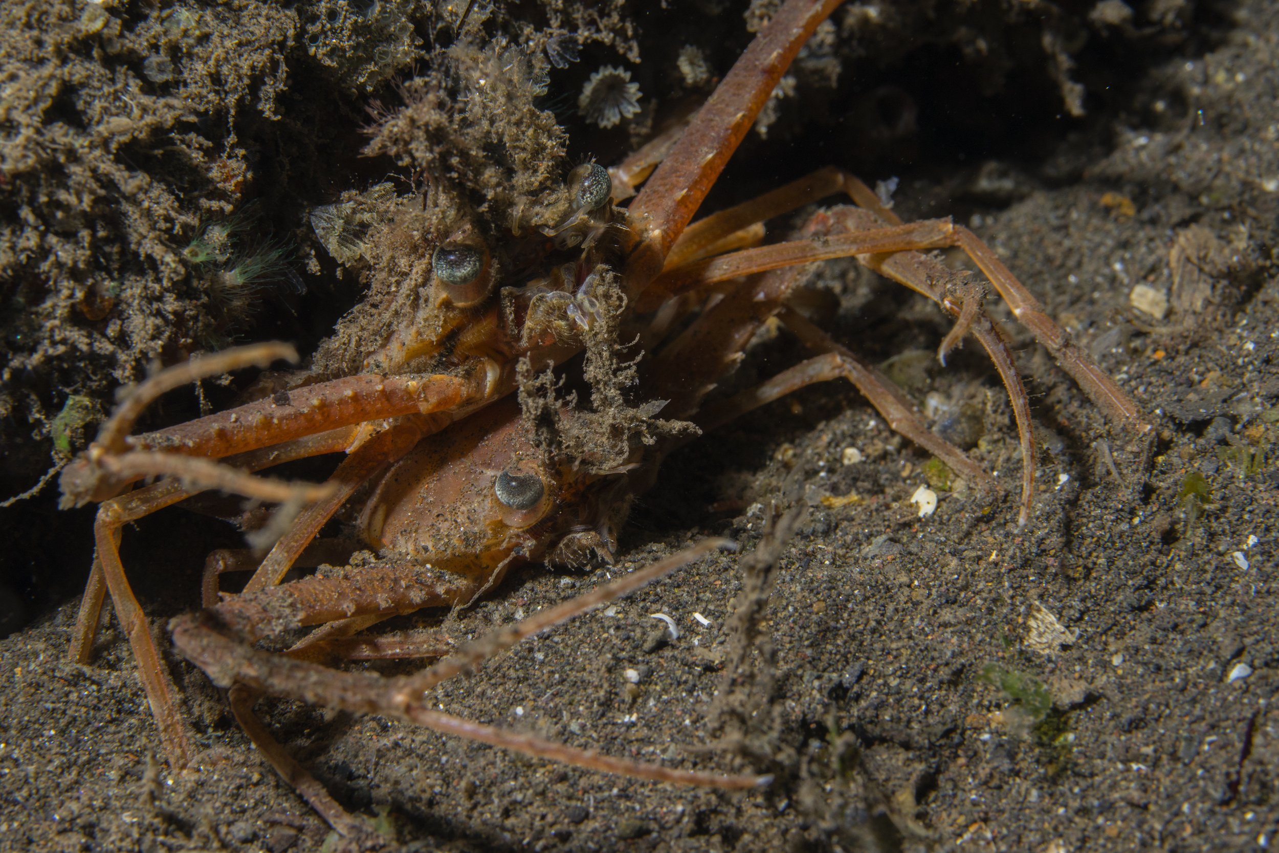 Komodo_DSC07112.jpg
