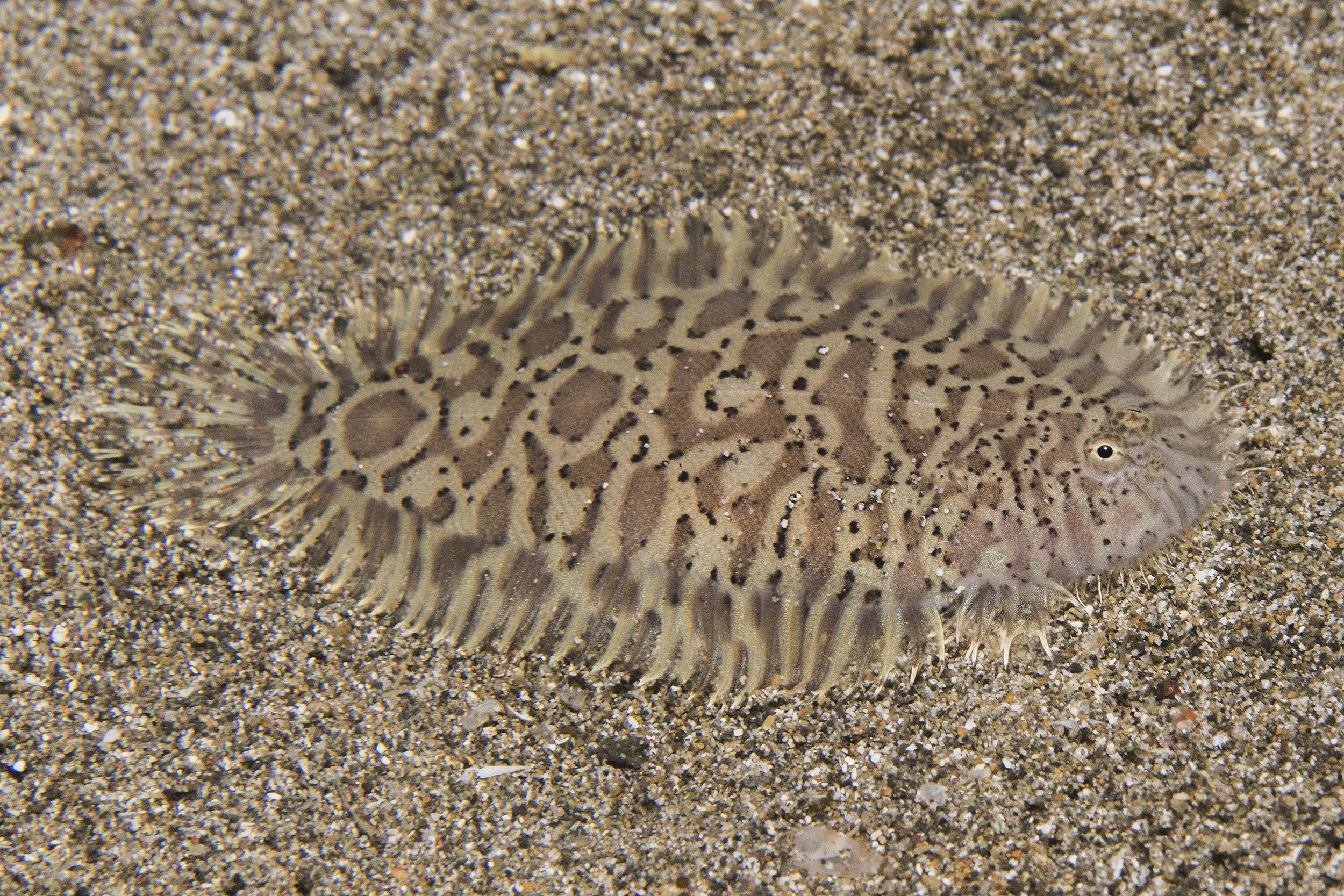 DSC04802.jpg