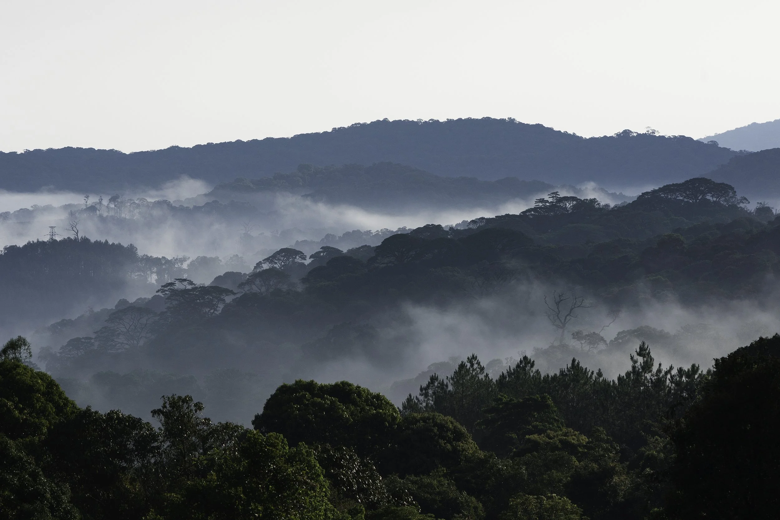 Dalat