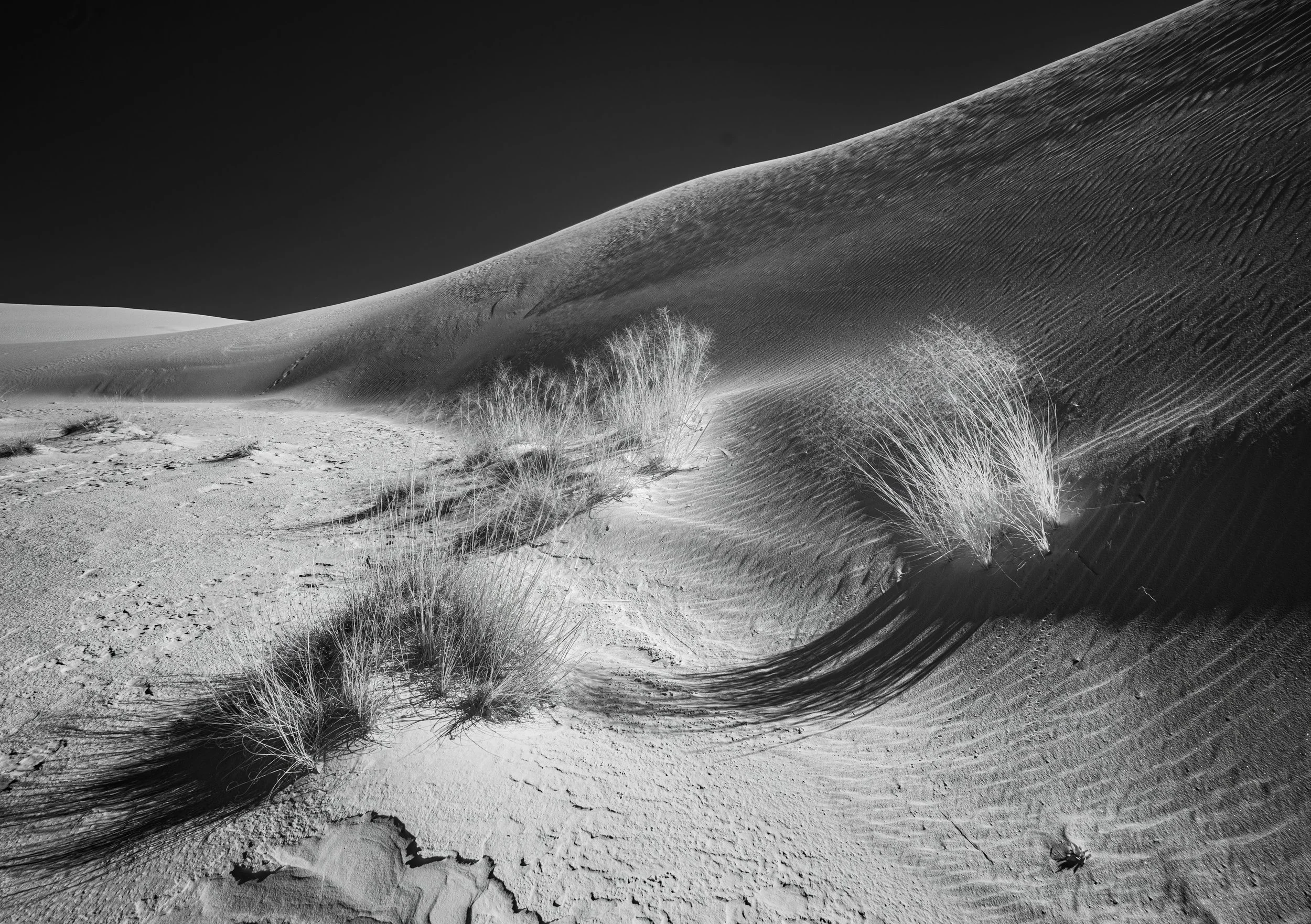White Sands, NM