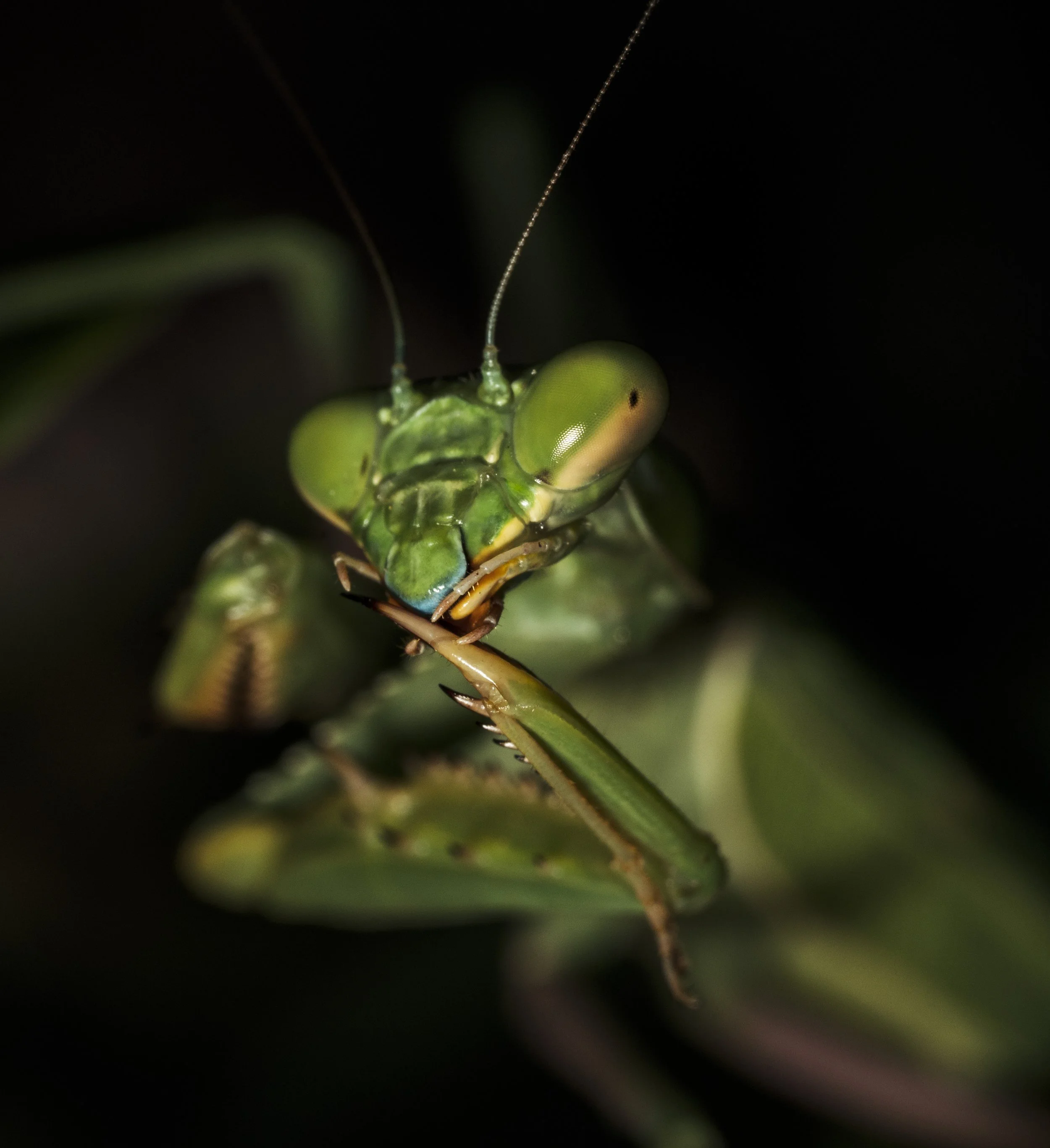 A7302244-Edit.jpg