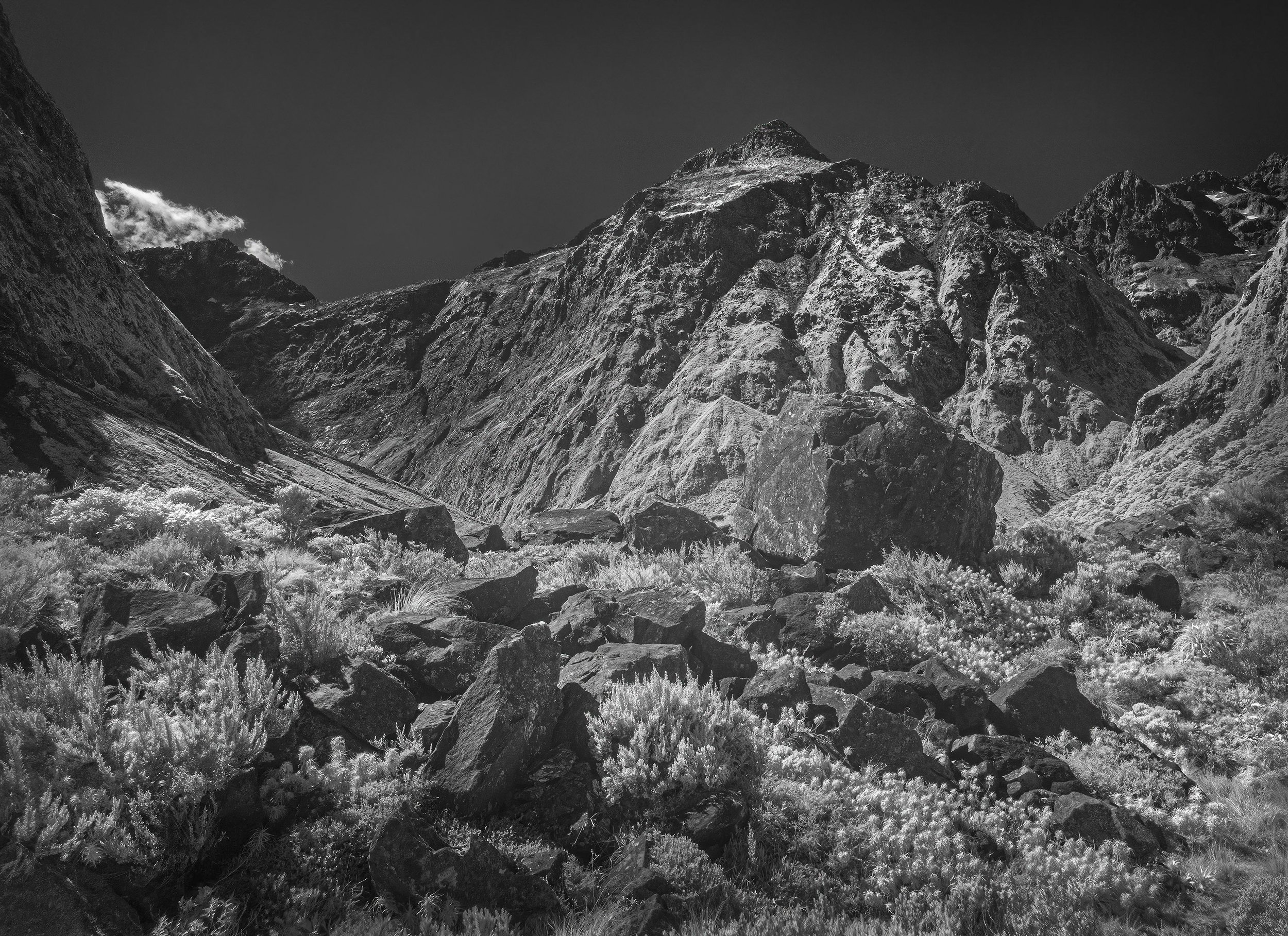 milford-sound_53625293548_o.jpg