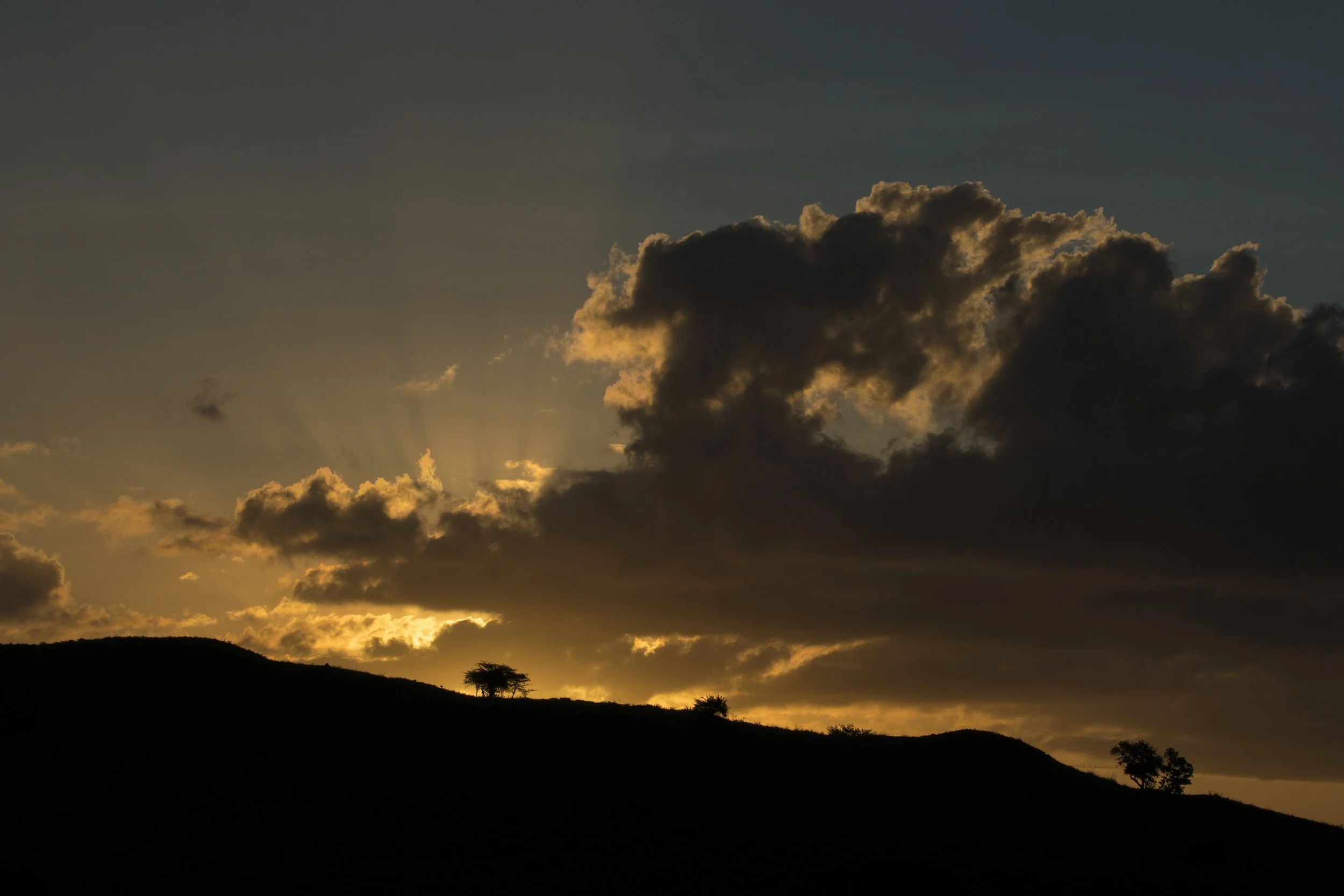 Komodo_DSC08291.jpg