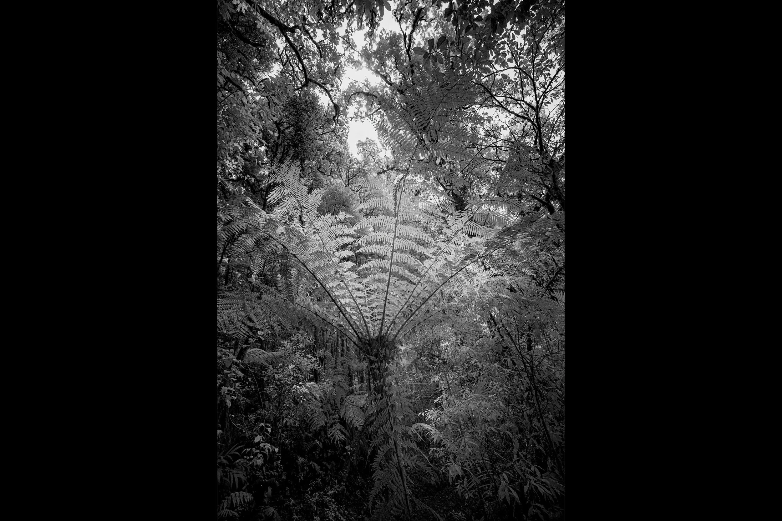 64_DSC06851-Edit copy.jpg