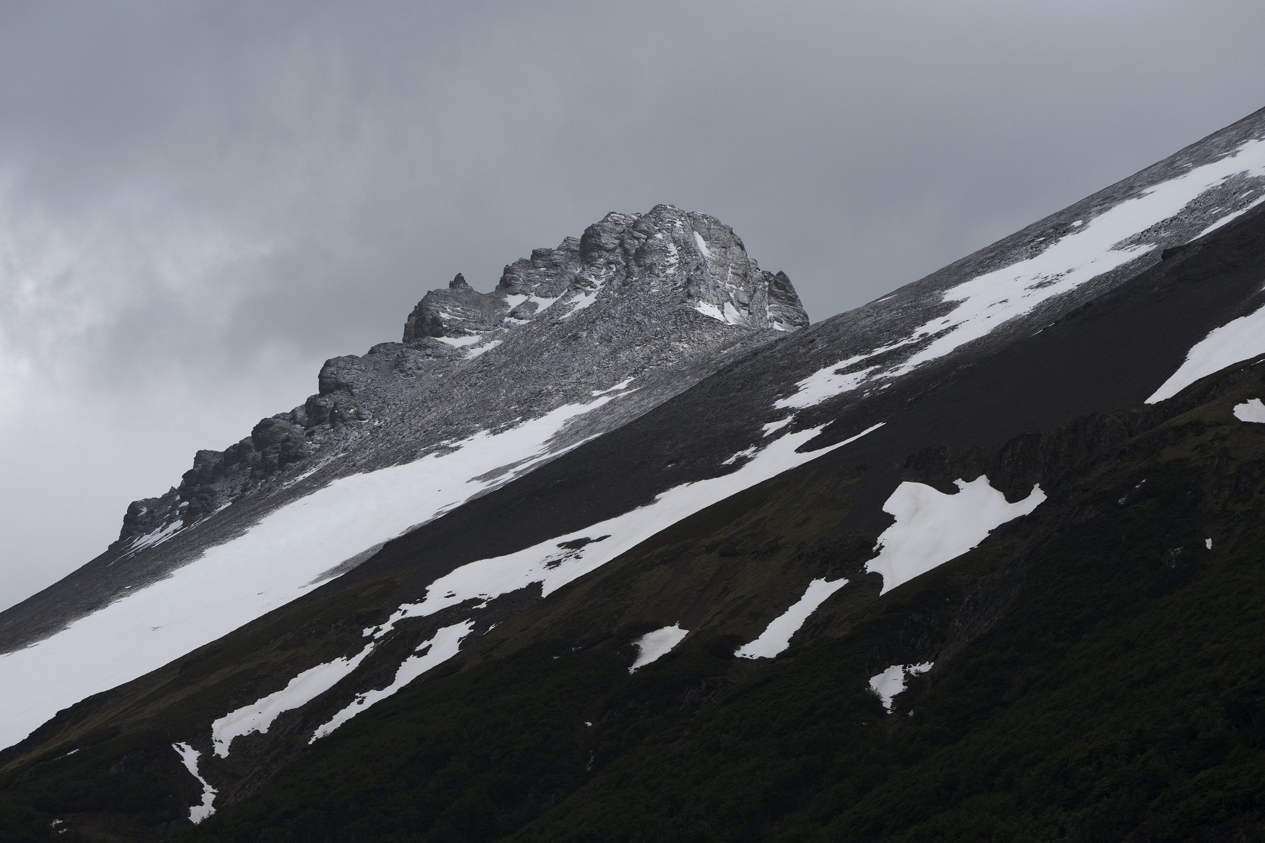 U2_D2_D9_08518.jpg