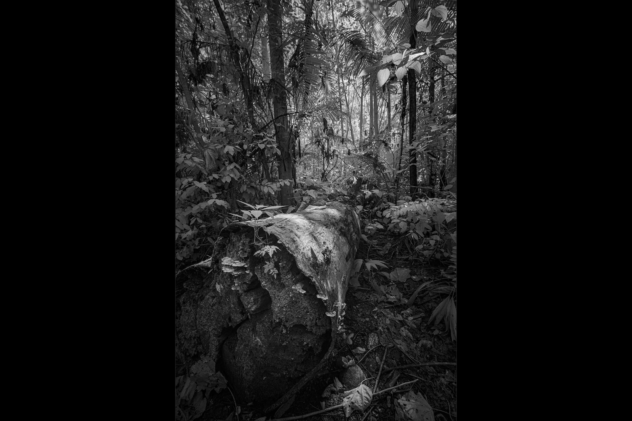 34_DSC06384-Edit copy.jpg