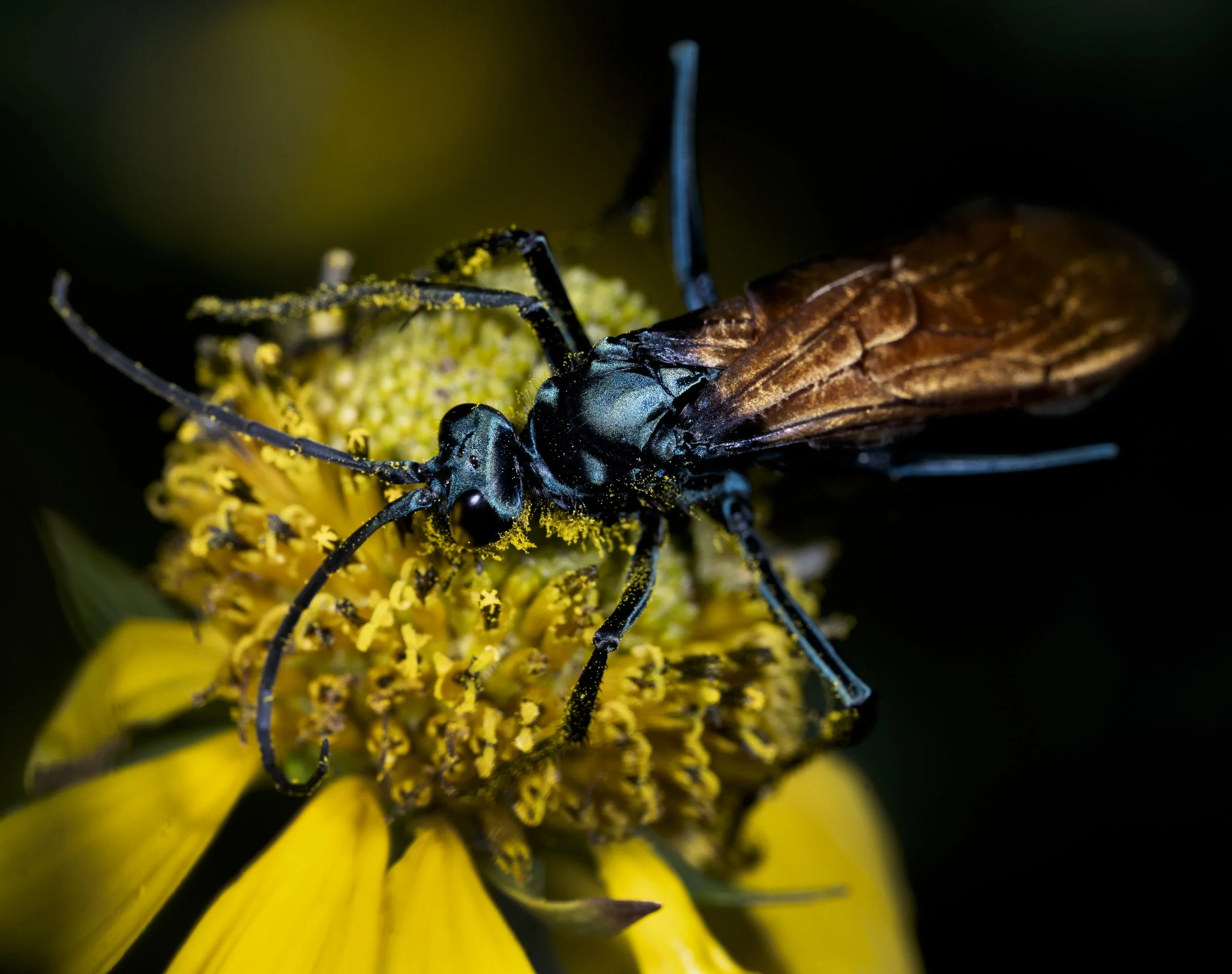 A1_09250-Edit.jpg