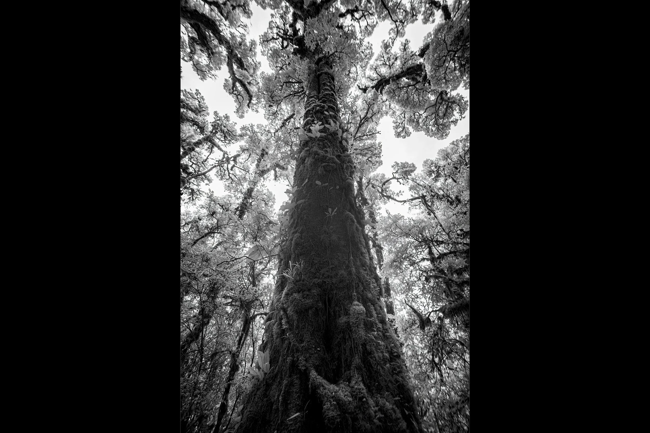 62_DSC06810-Edit-Edit copy.jpg