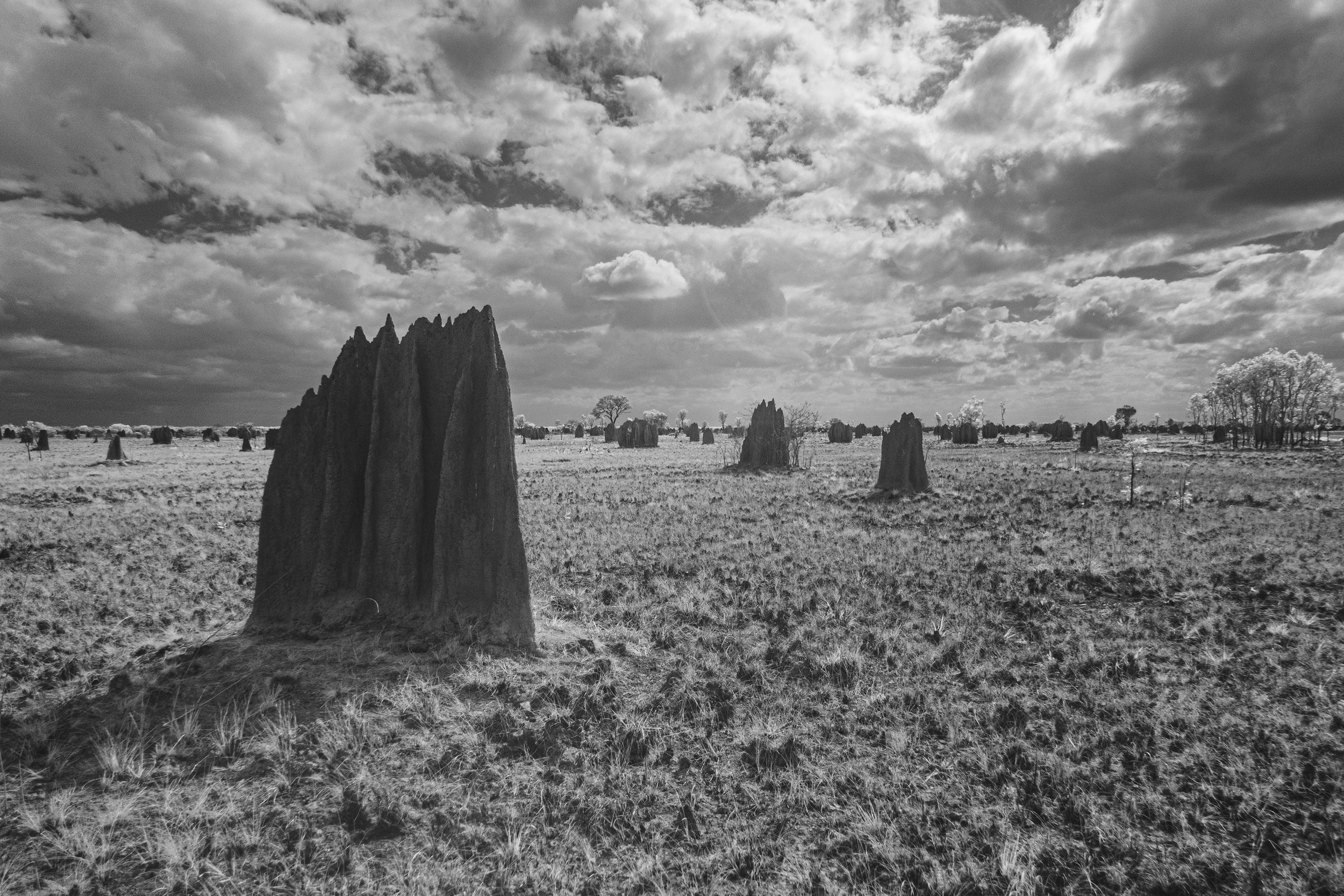 Termite Mounds