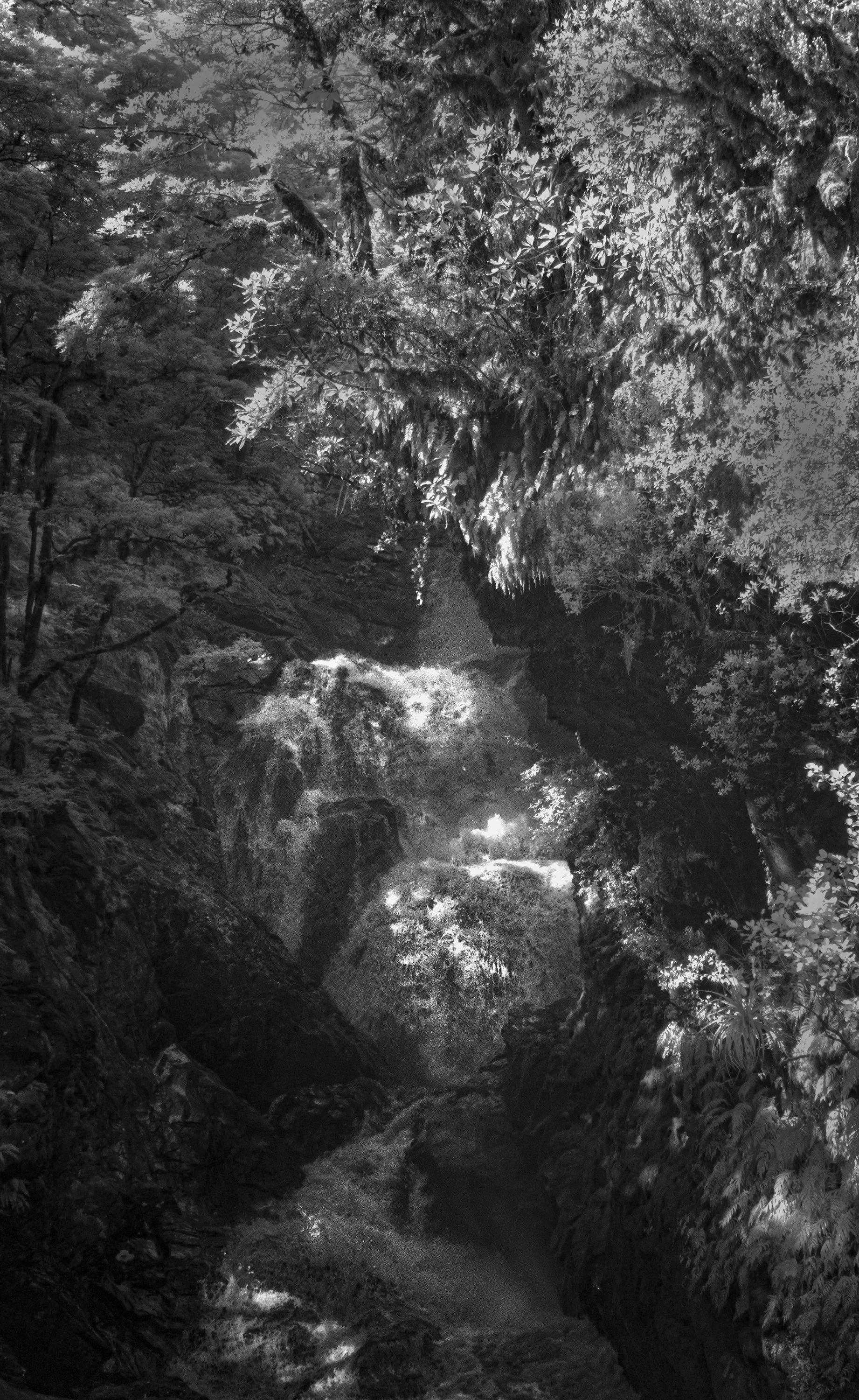 milford-sound-waterfall_53625293508_o.jpg