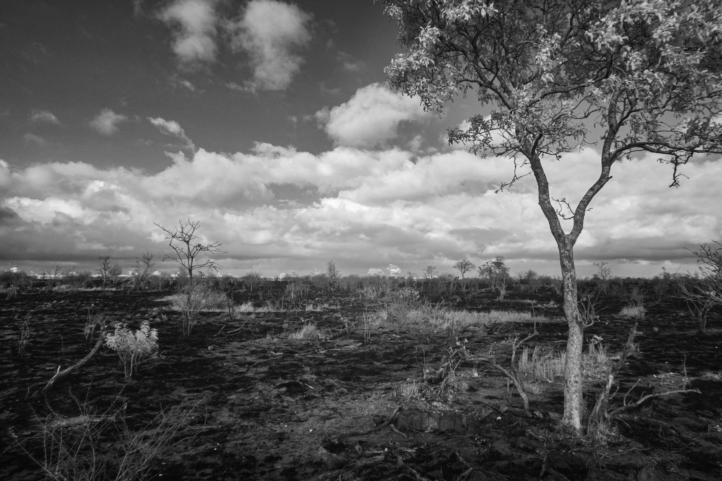 After a Fire