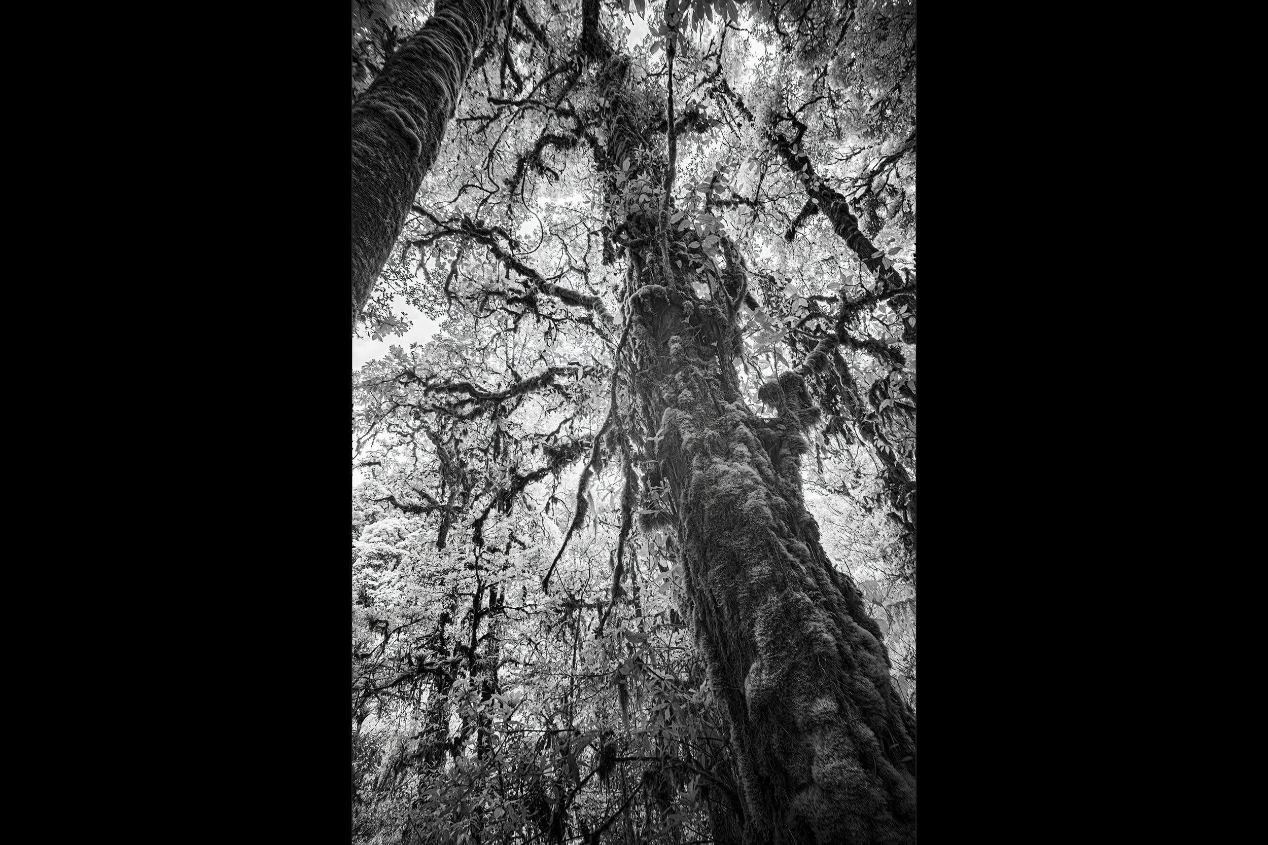 65_DSC07040-Edit copy.jpg