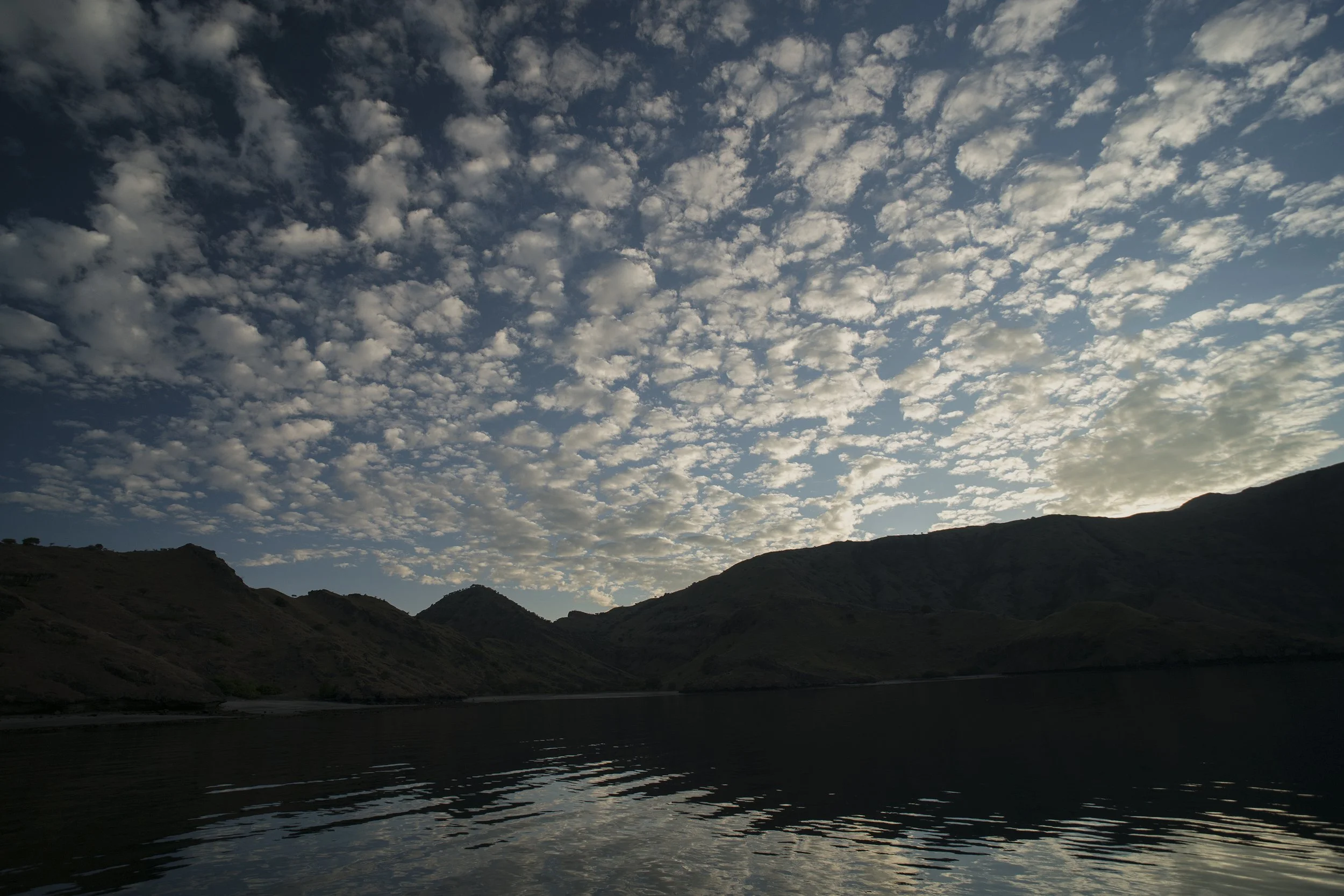 Komodo_DSC02259.jpg