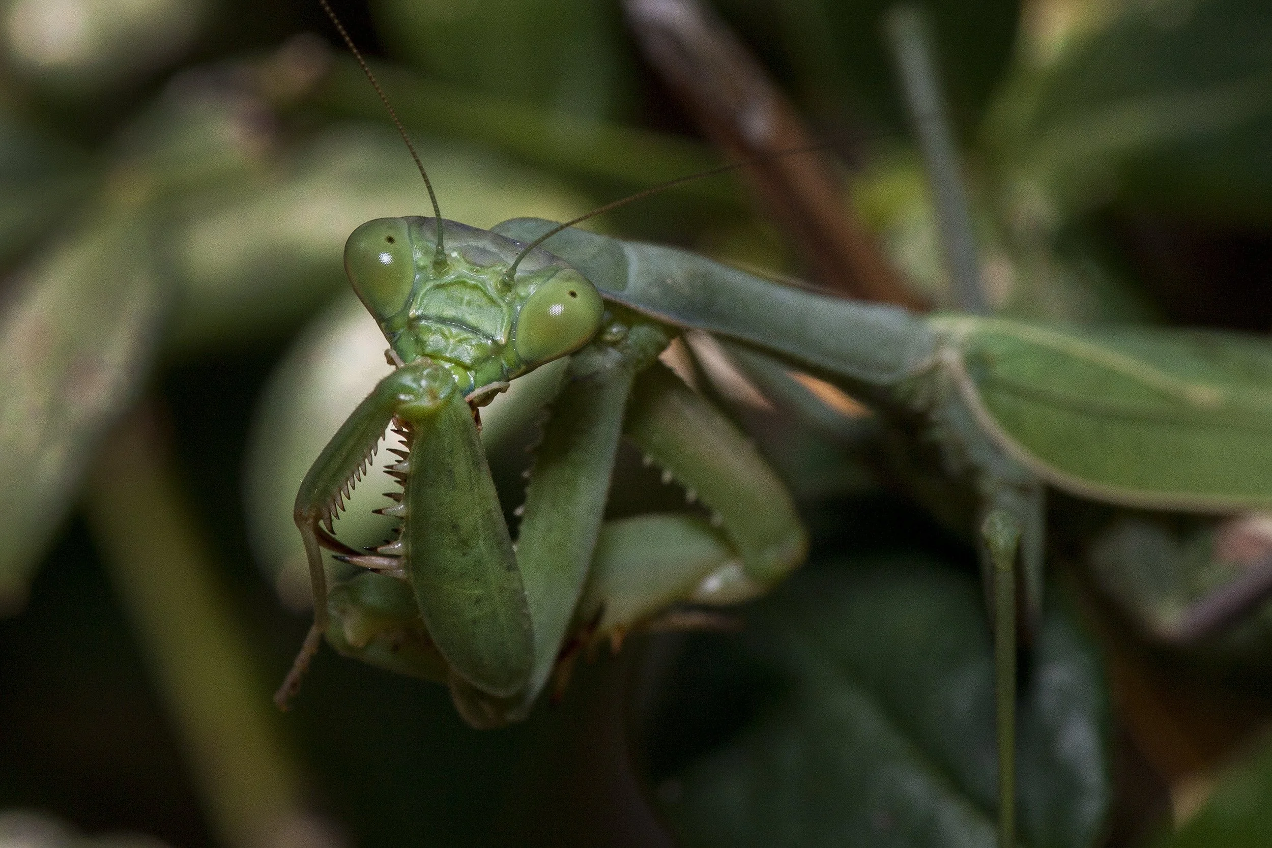 DS3_1535.jpg