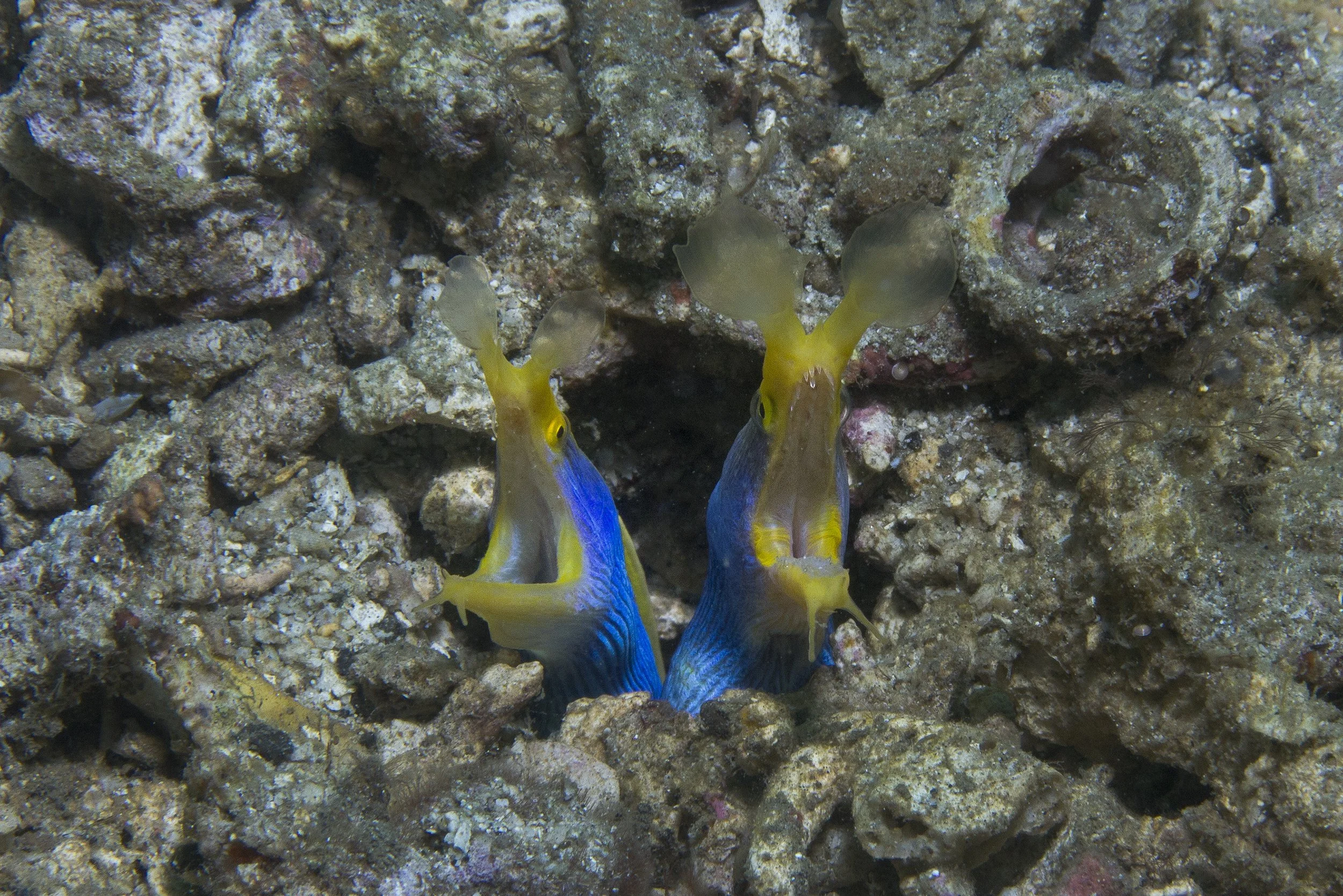 IMG_9867.jpg