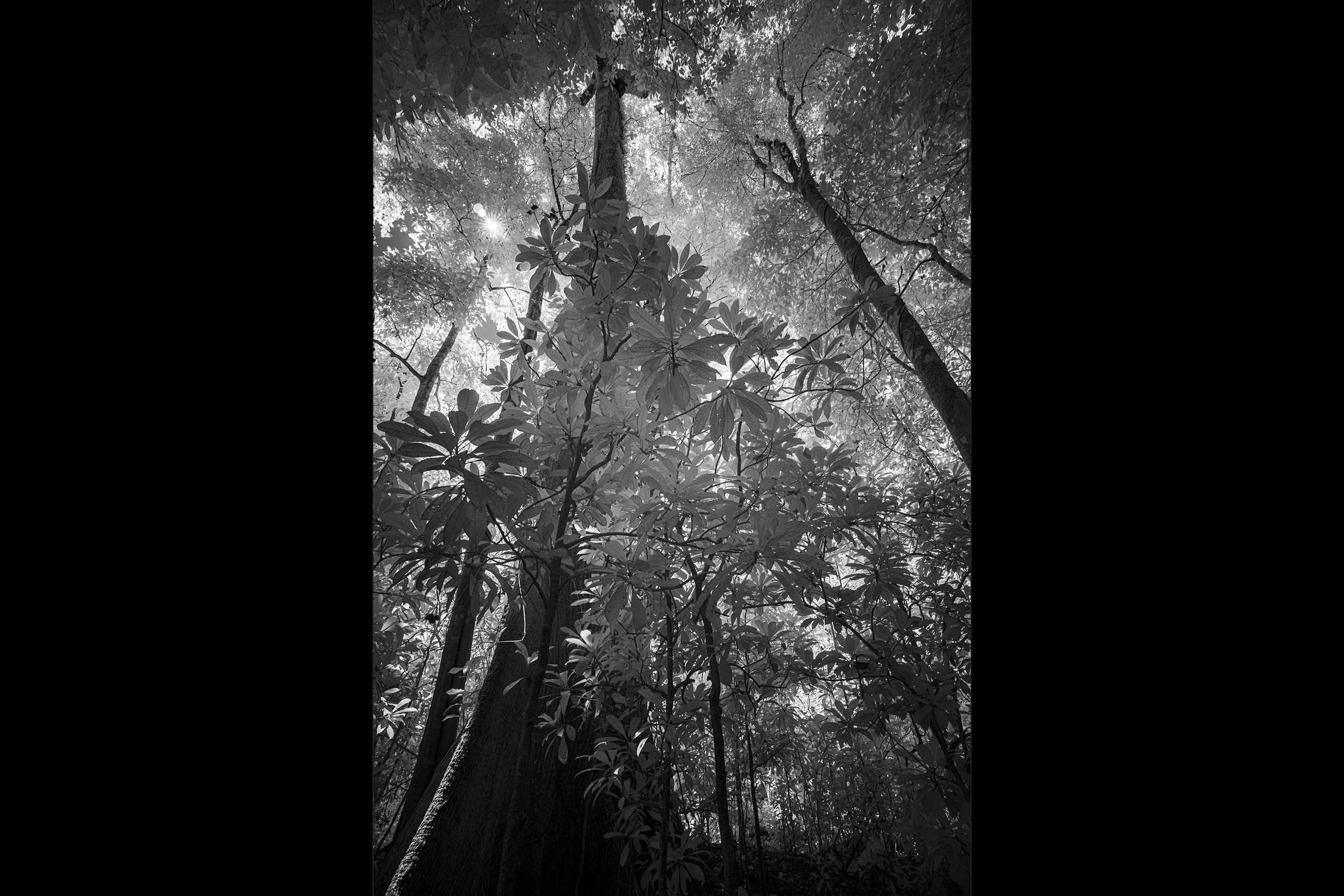 95_DSC07192-Edit copy.jpg