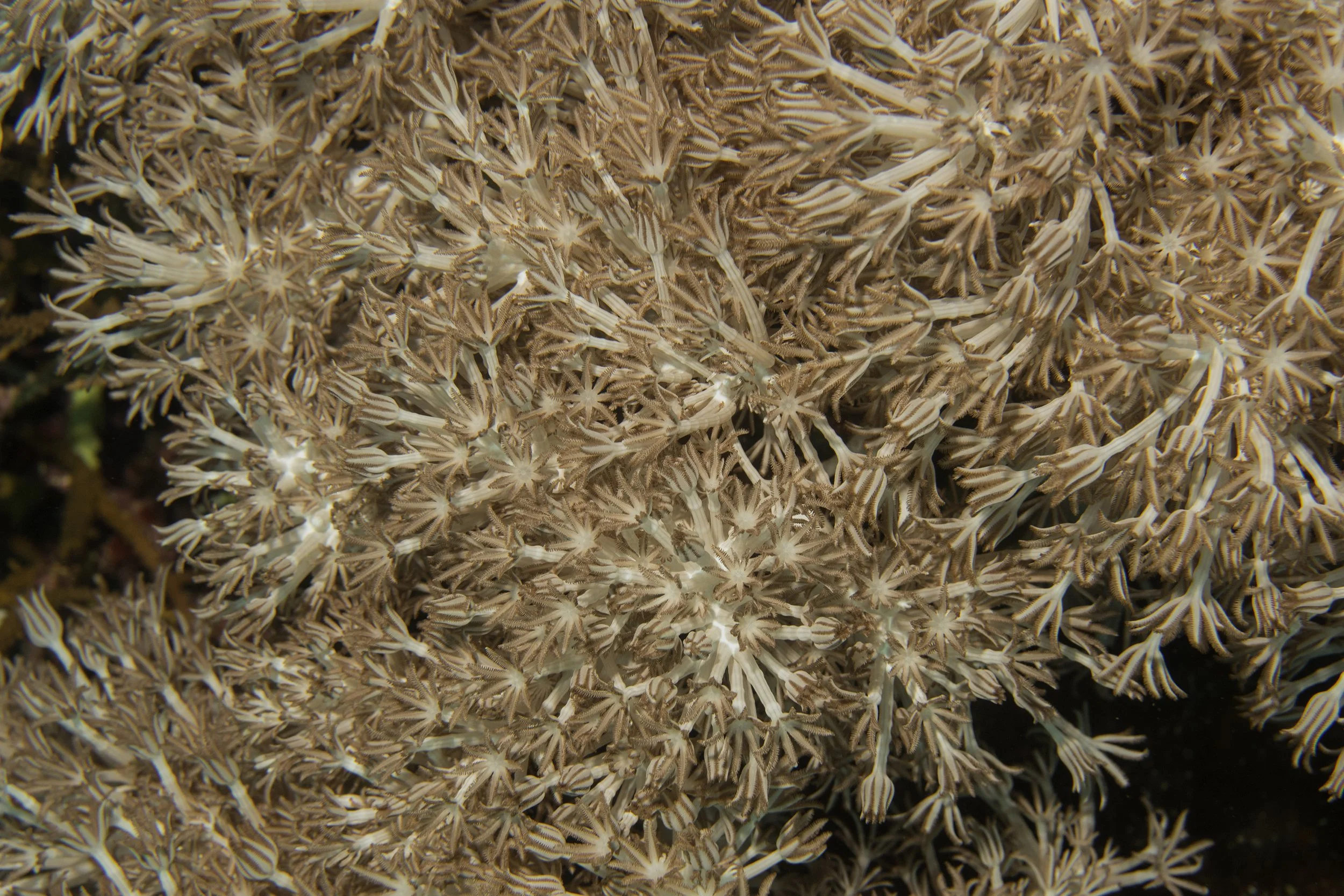Komodo_DSC05597.jpg