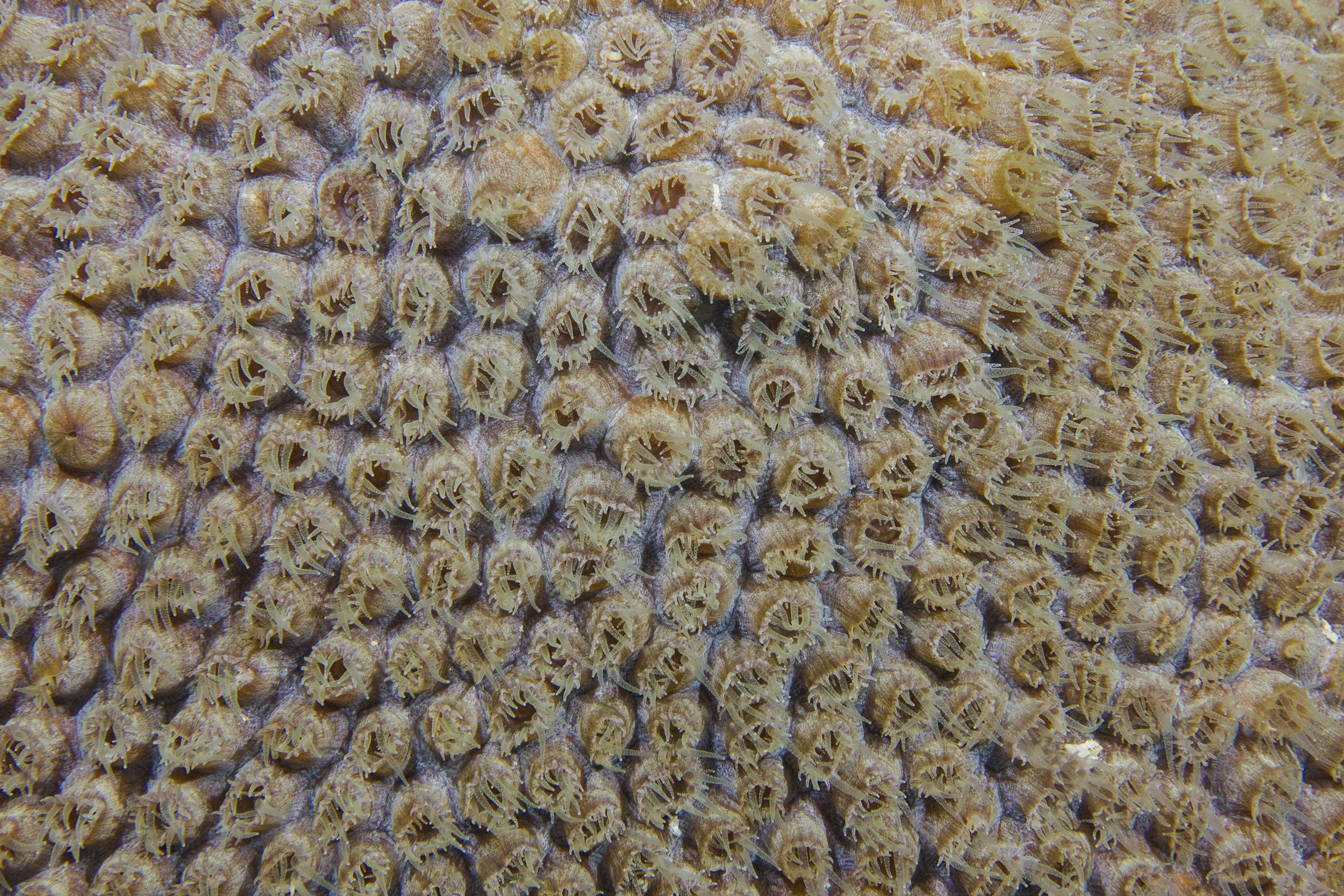 Bonaire_IMG_6018.jpg