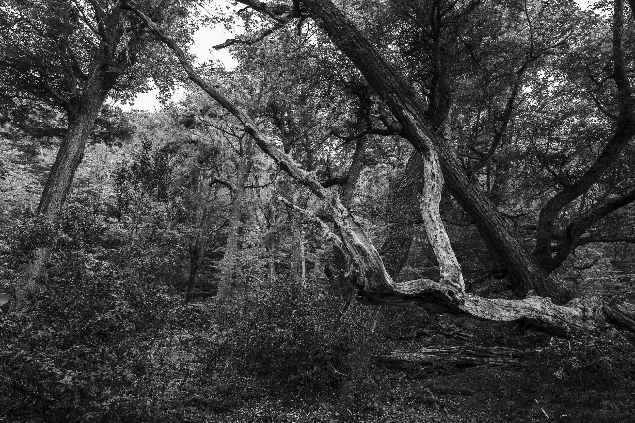 U2_D3_D7_02099.jpg