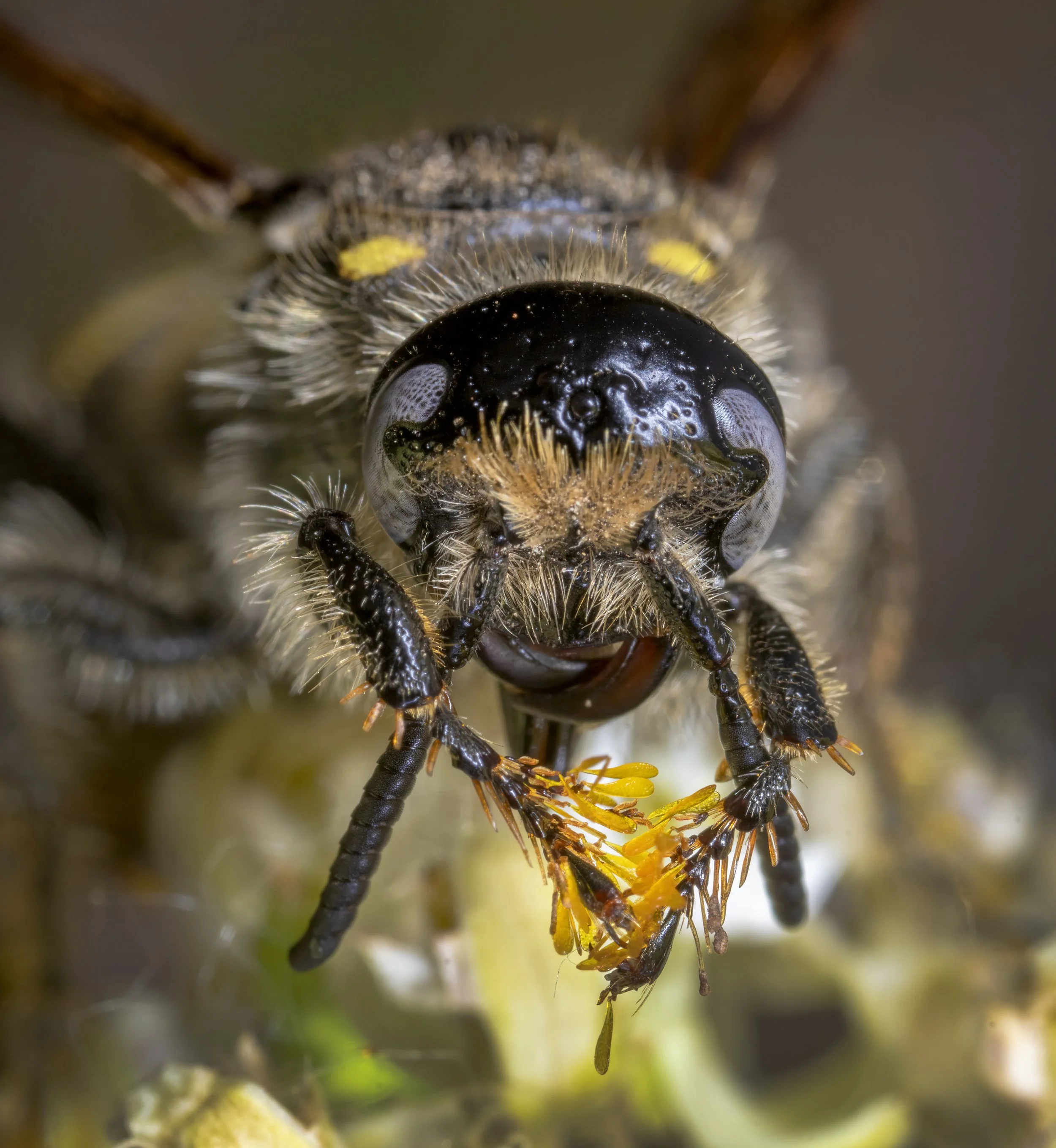 A1_01260-Edit.jpg