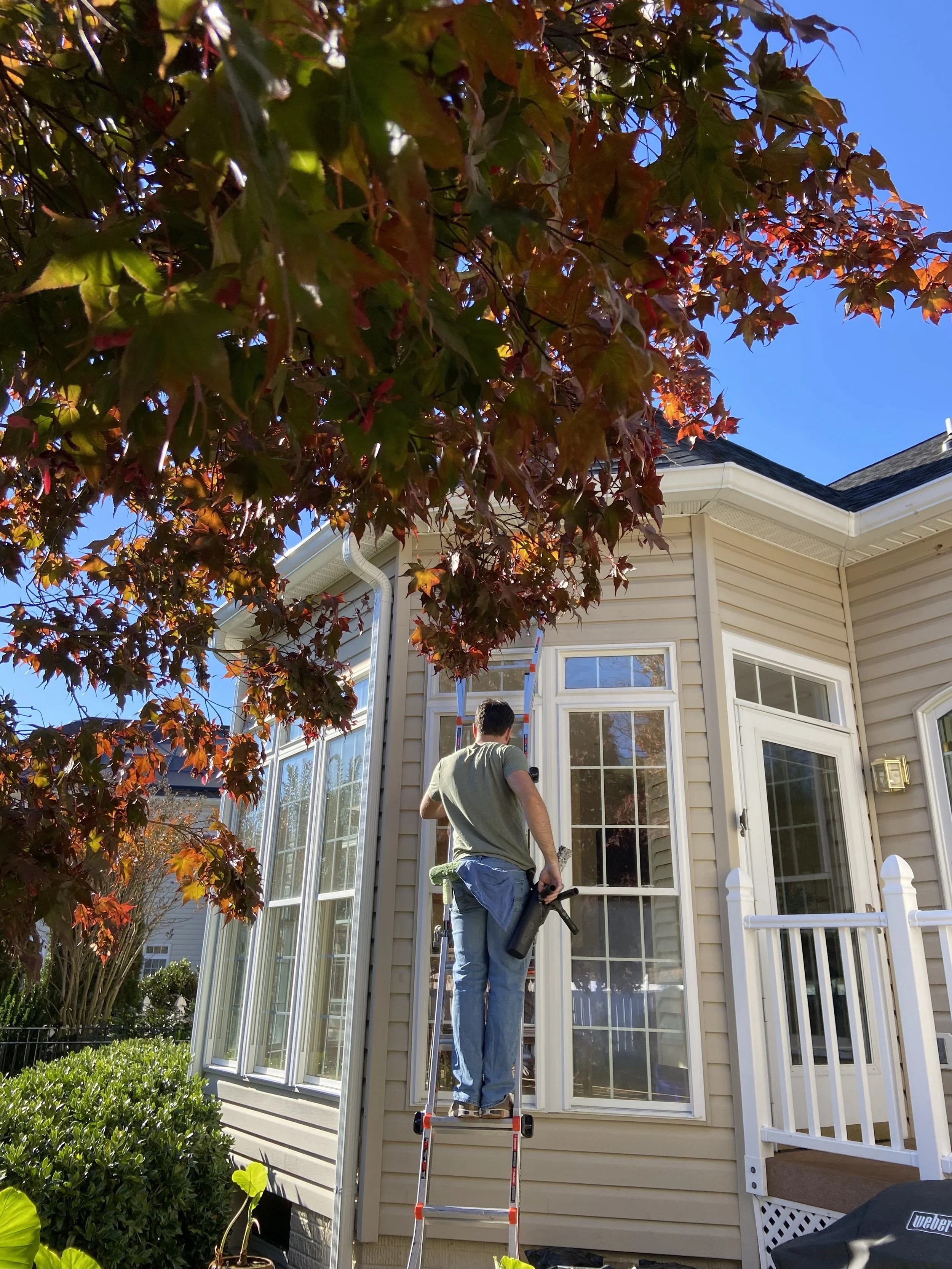 A person standing on a ladder cleaning the exterior windows of a house during daytime. There are leafy trees with red and green leaves in the foreground, and a clear blue sky overhead.