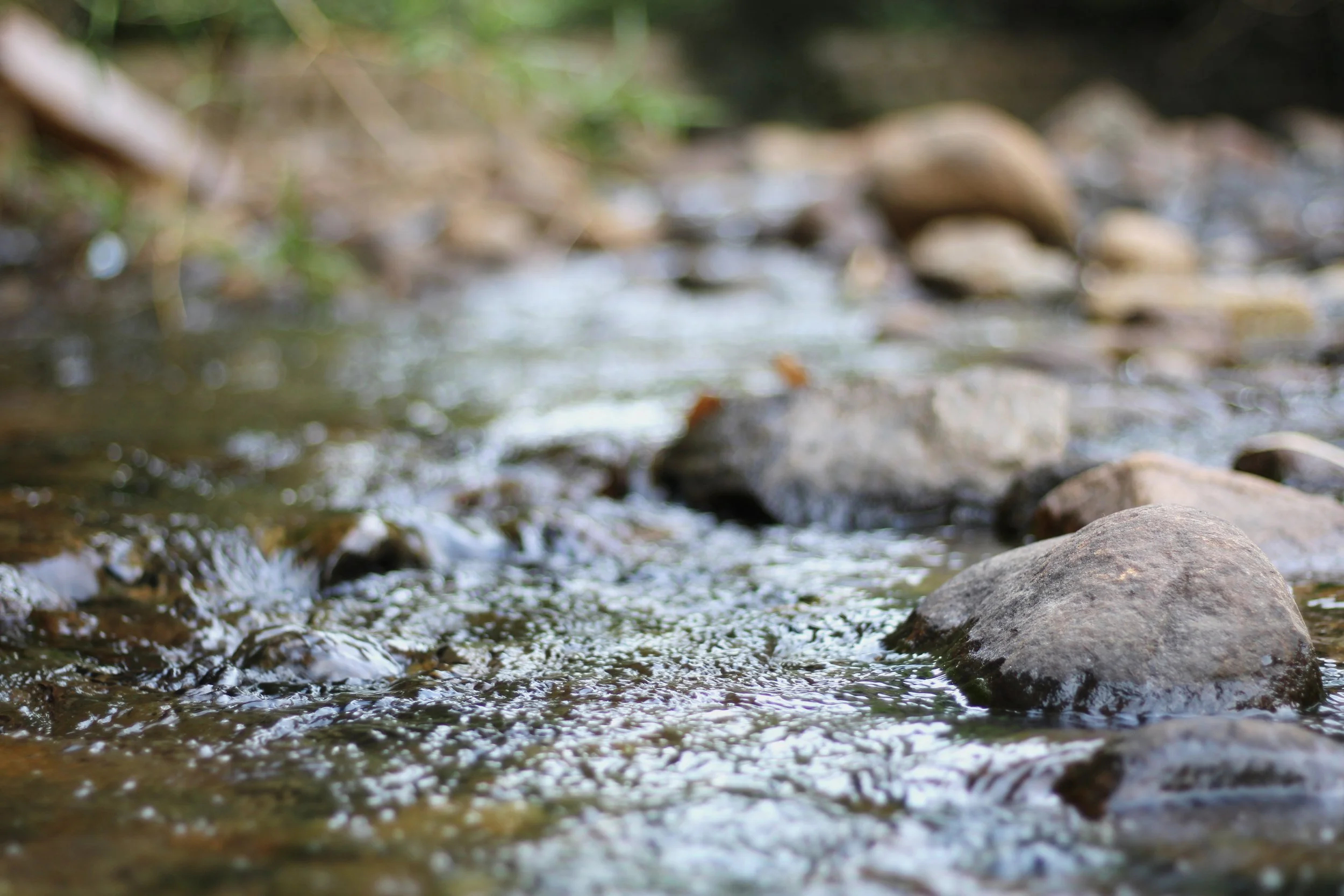 The Stream