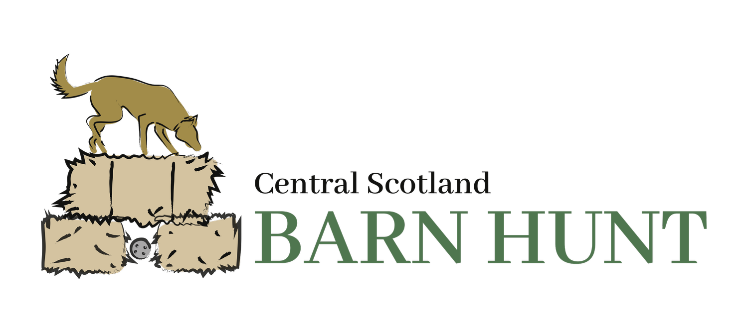 Central Scotland Barn Hunt