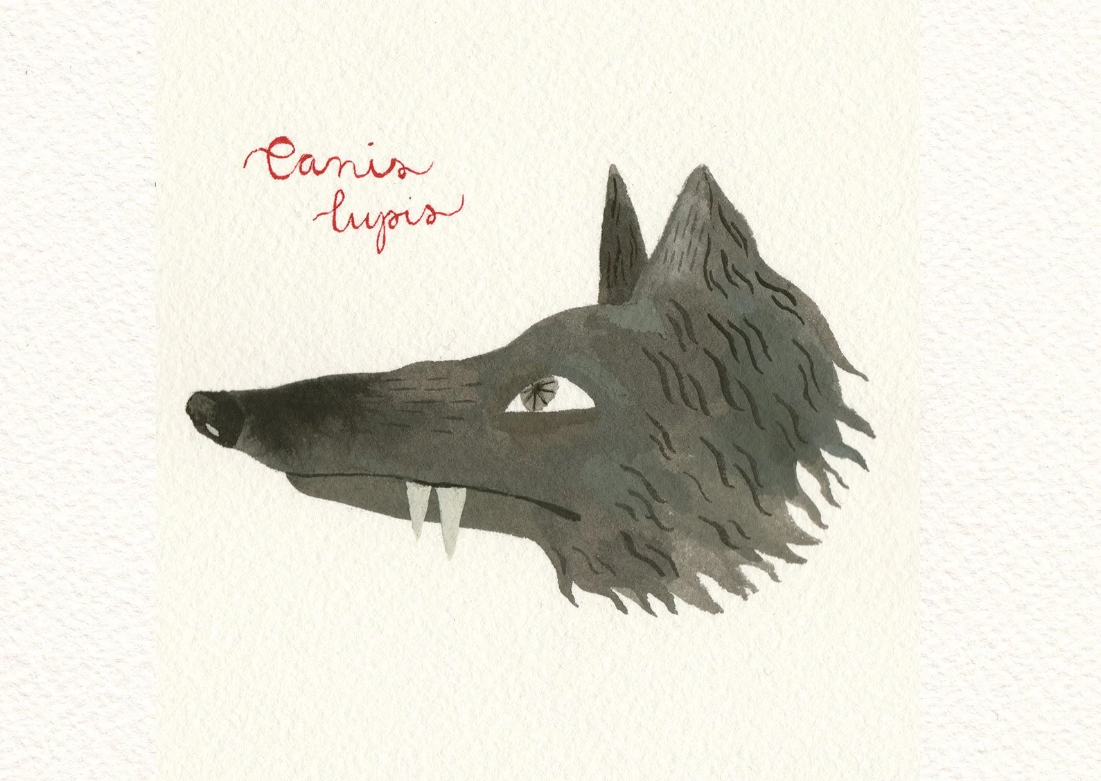 canius-Lupis-Remake.jpg