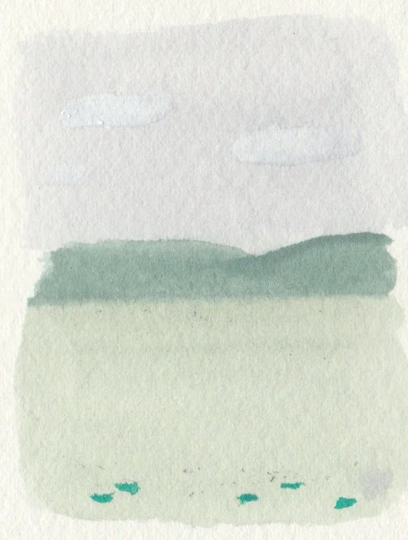 House Color Test 1.jpg