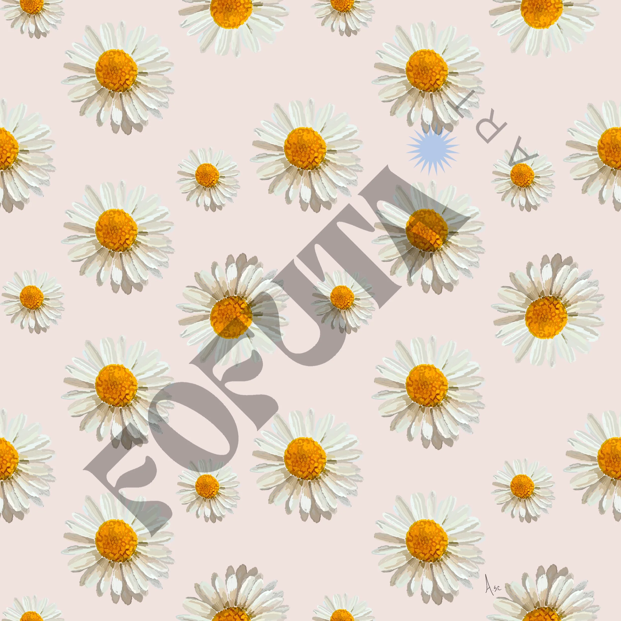 SunriseDaisyDelight_water mark.jpg