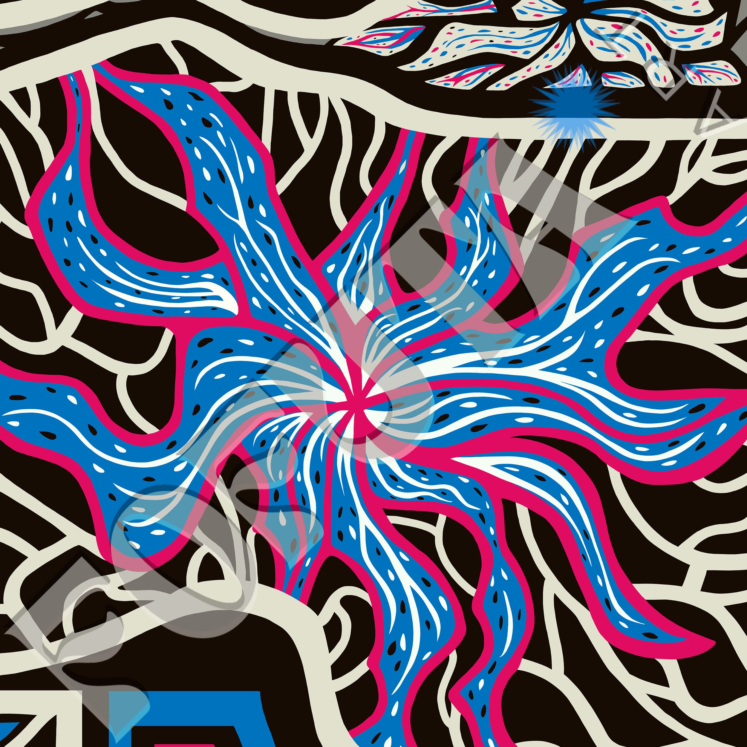 octopus_water mark.jpg