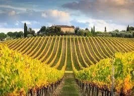 LifeLong Learning: Wine is Places
