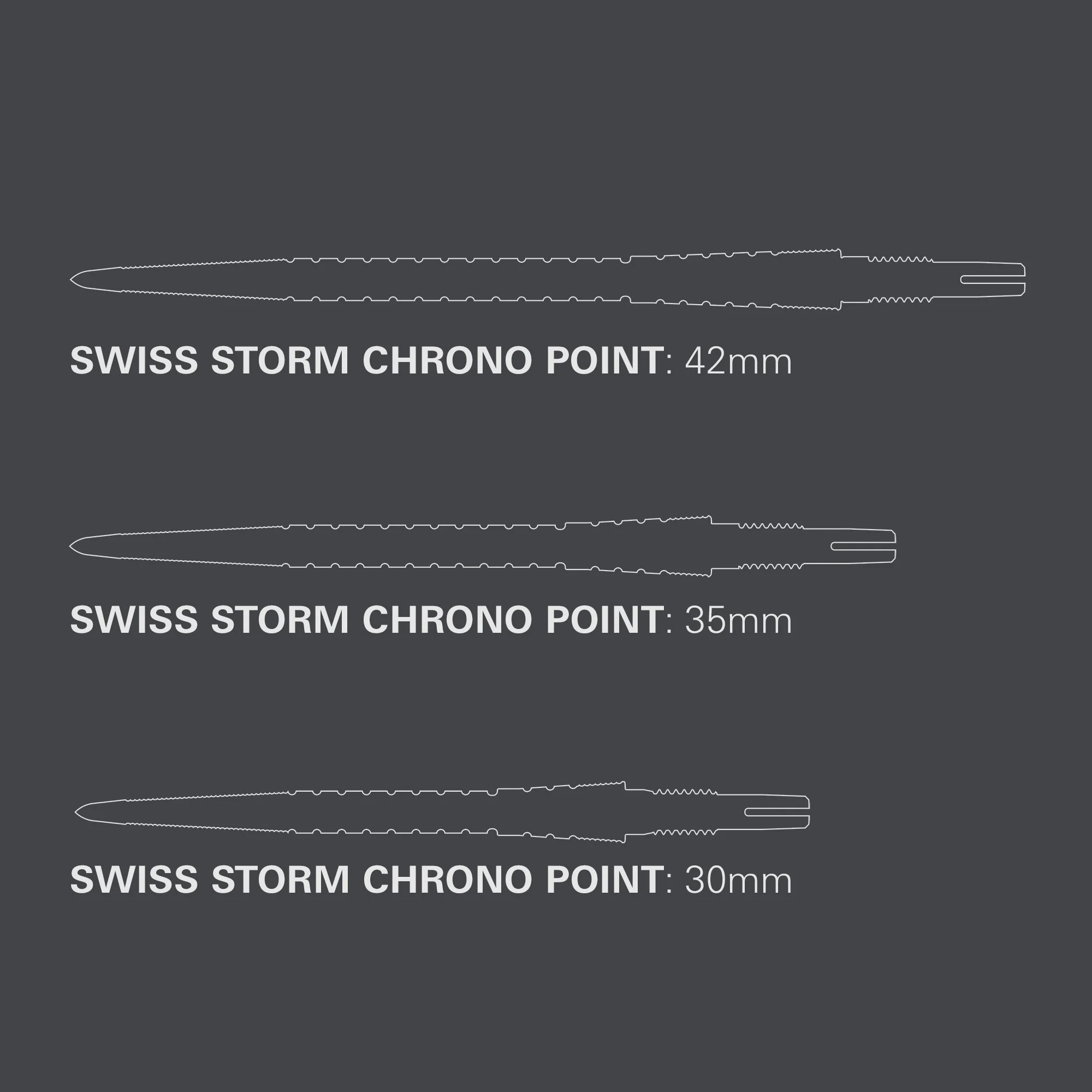 340420 CHRONO SWISS STORM POINT - SILVER 30MM_PT03.jpg