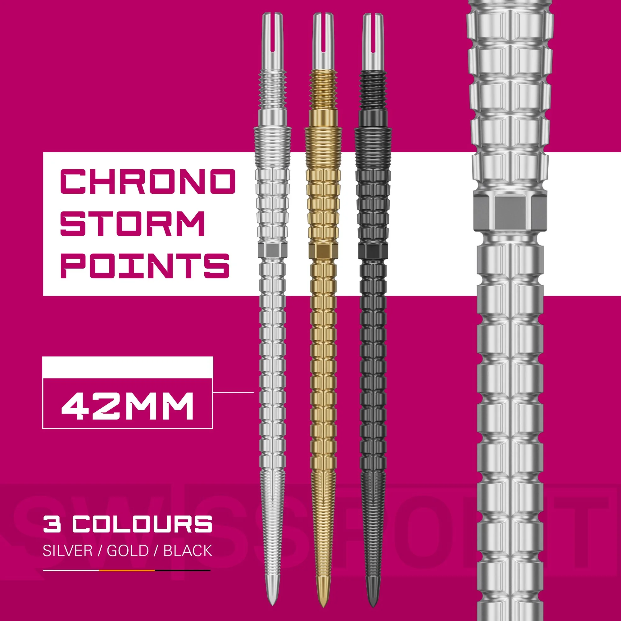340422 CHRONO SWISS STORM POINT - SILVER 42MM_PT05.jpg